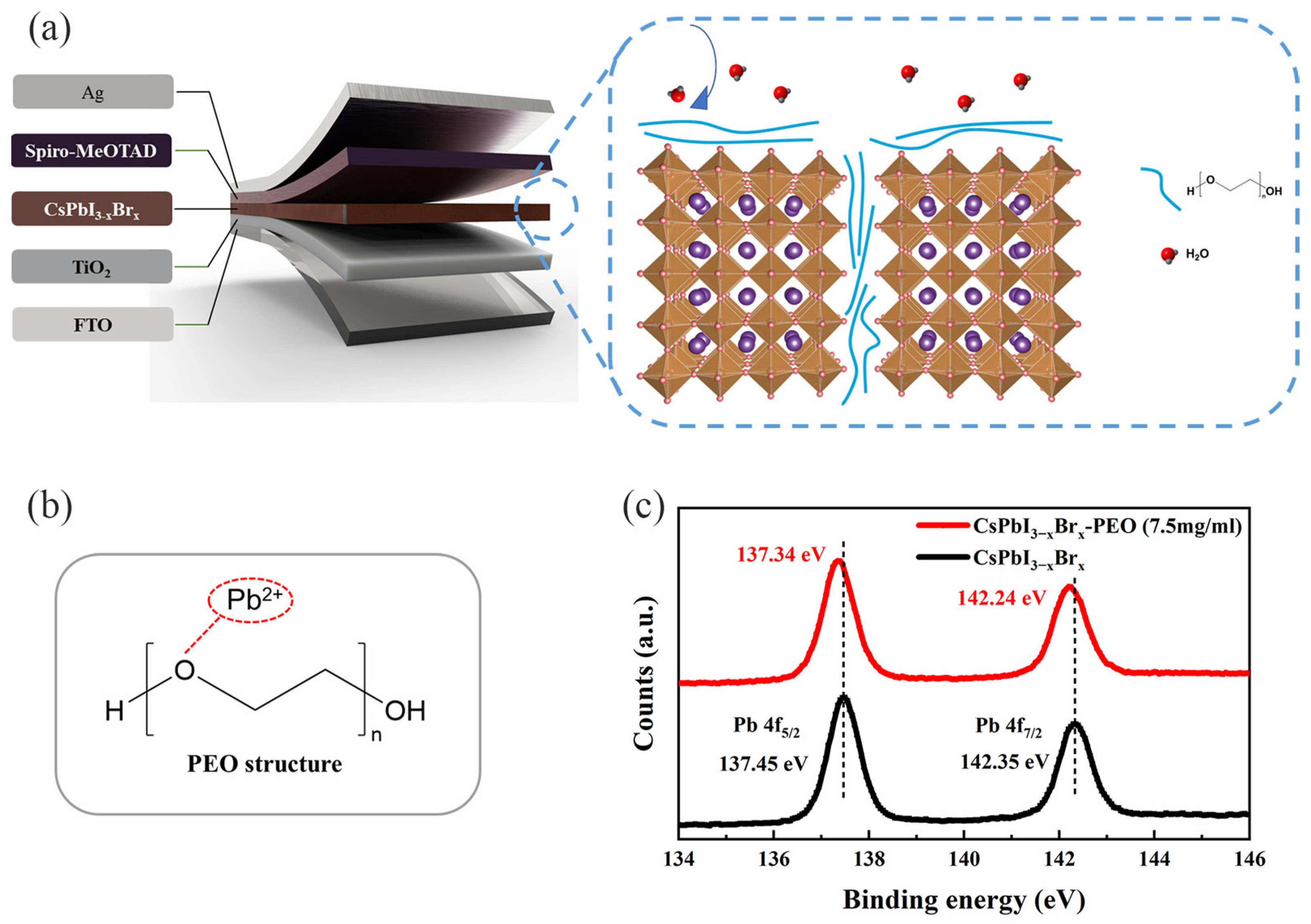Energies 16 07849 g001