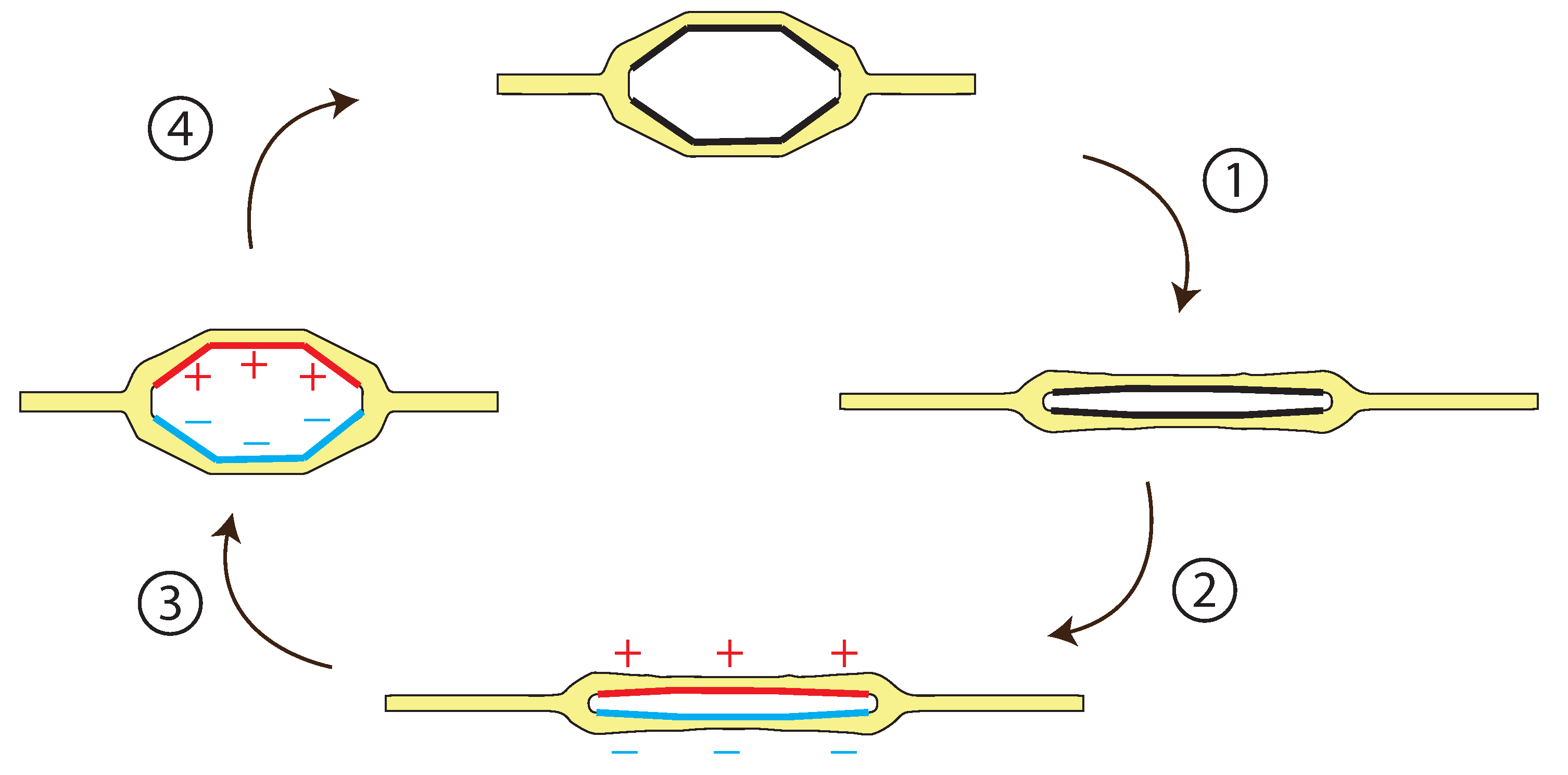 Energies 16 08100 g002 Energies 16 08100 g002