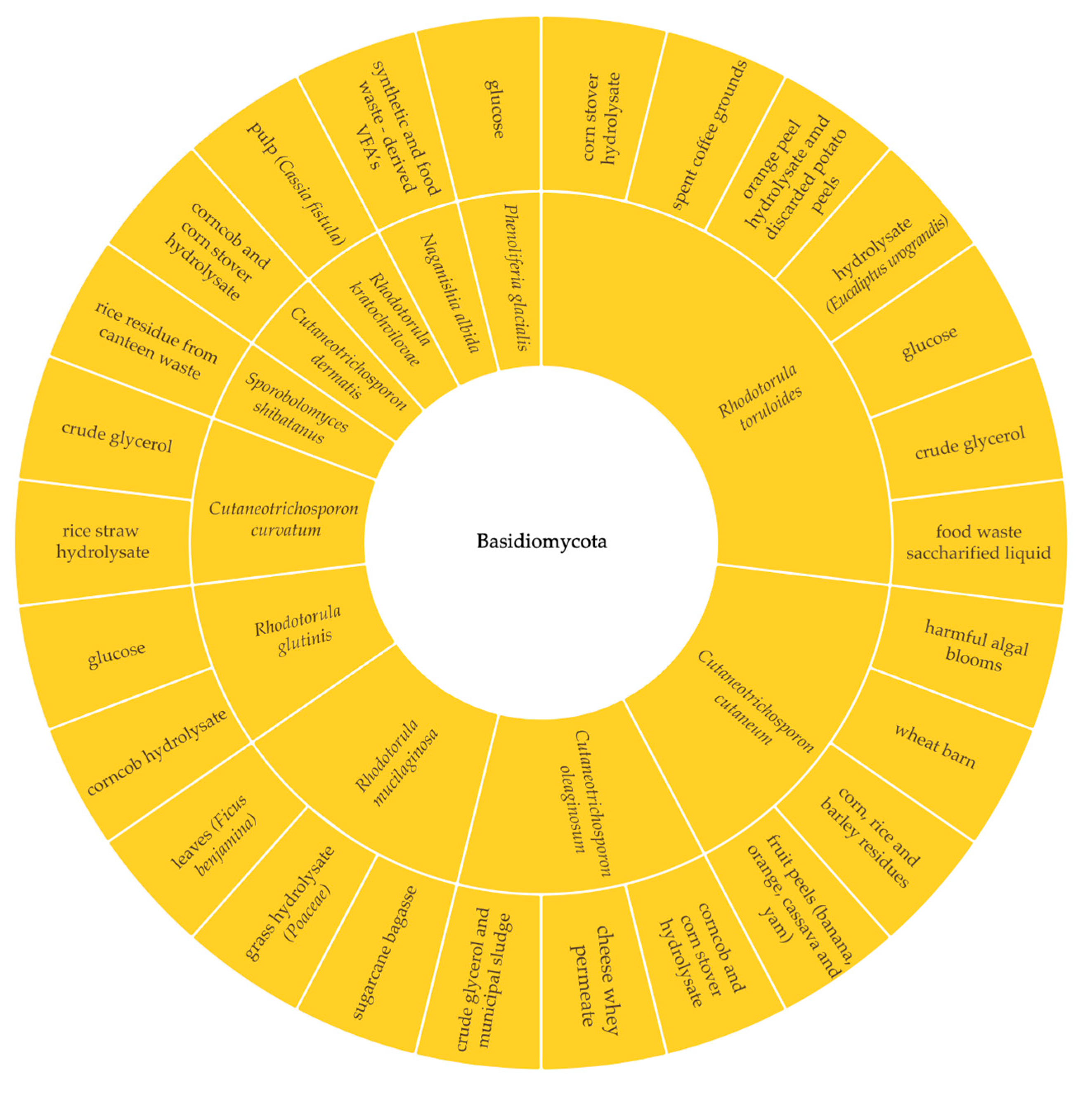 Energies 17 00302 g002