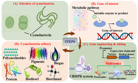 Energies 17 00408 g001