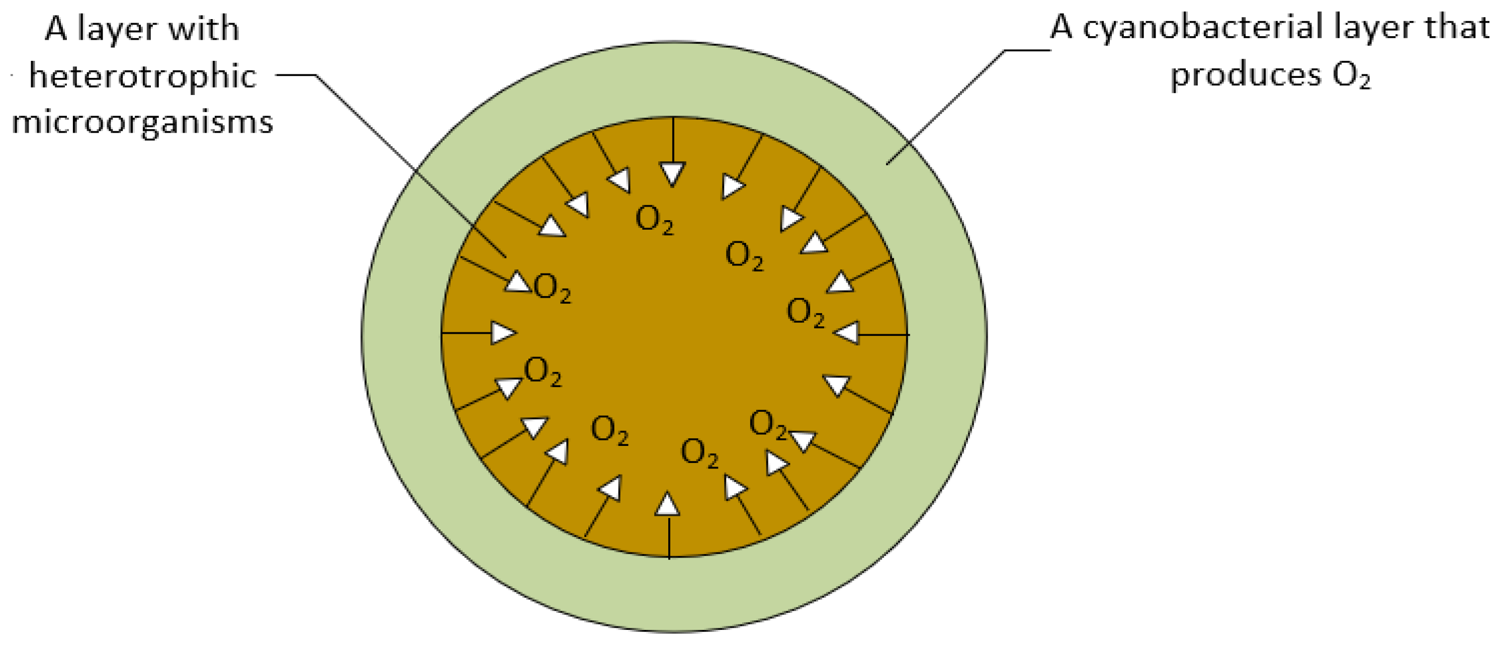 Energies 17 01504 g008 Energies 17 01504 g008