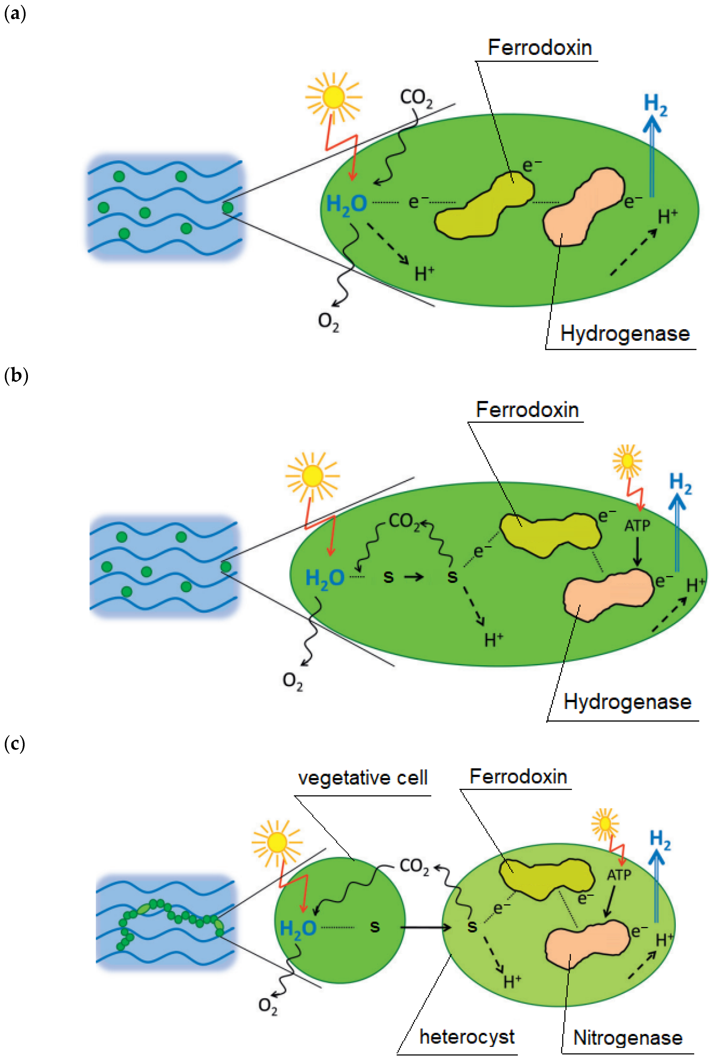 Energies 17 02524 g006