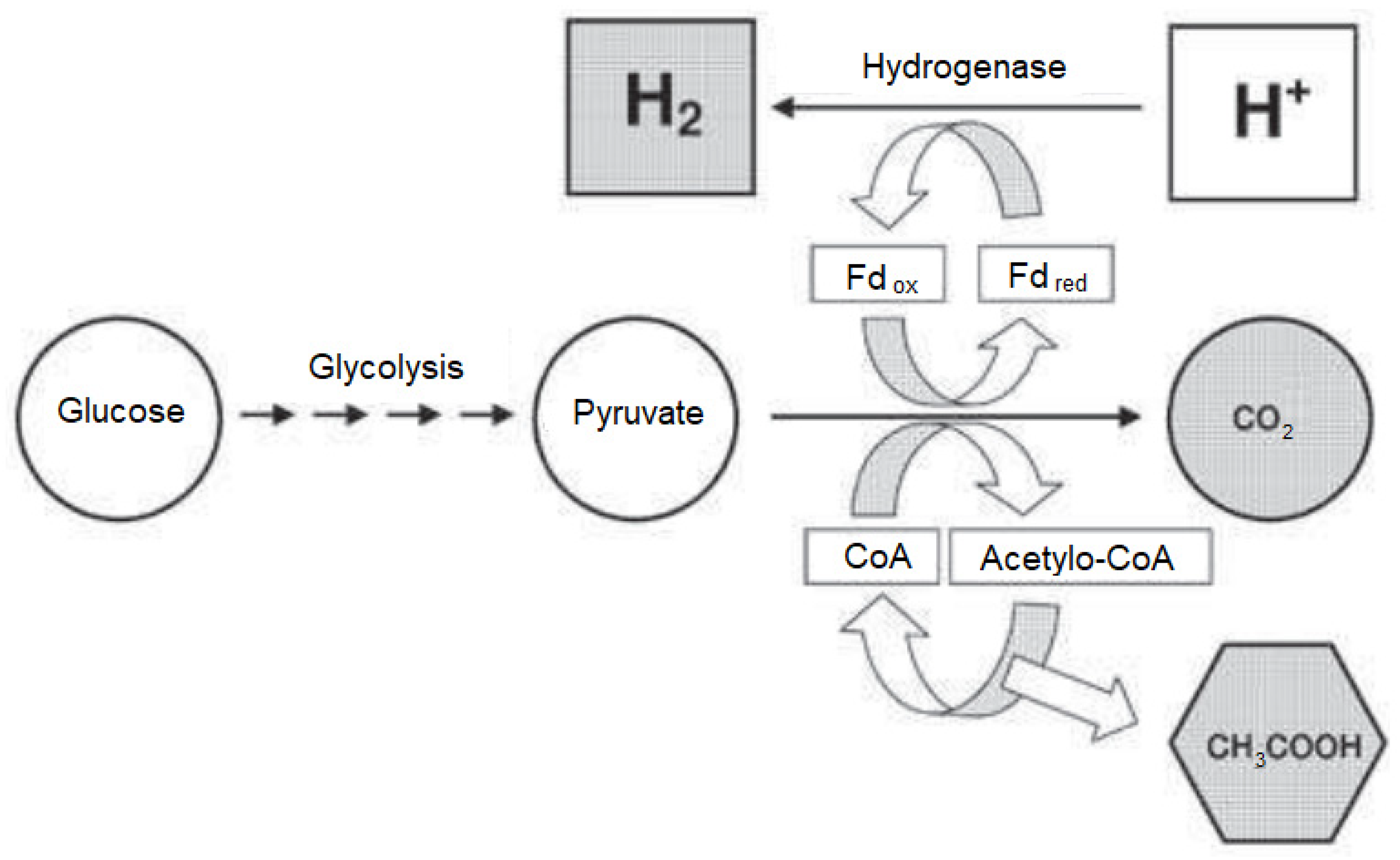 Energies 17 02524 g007