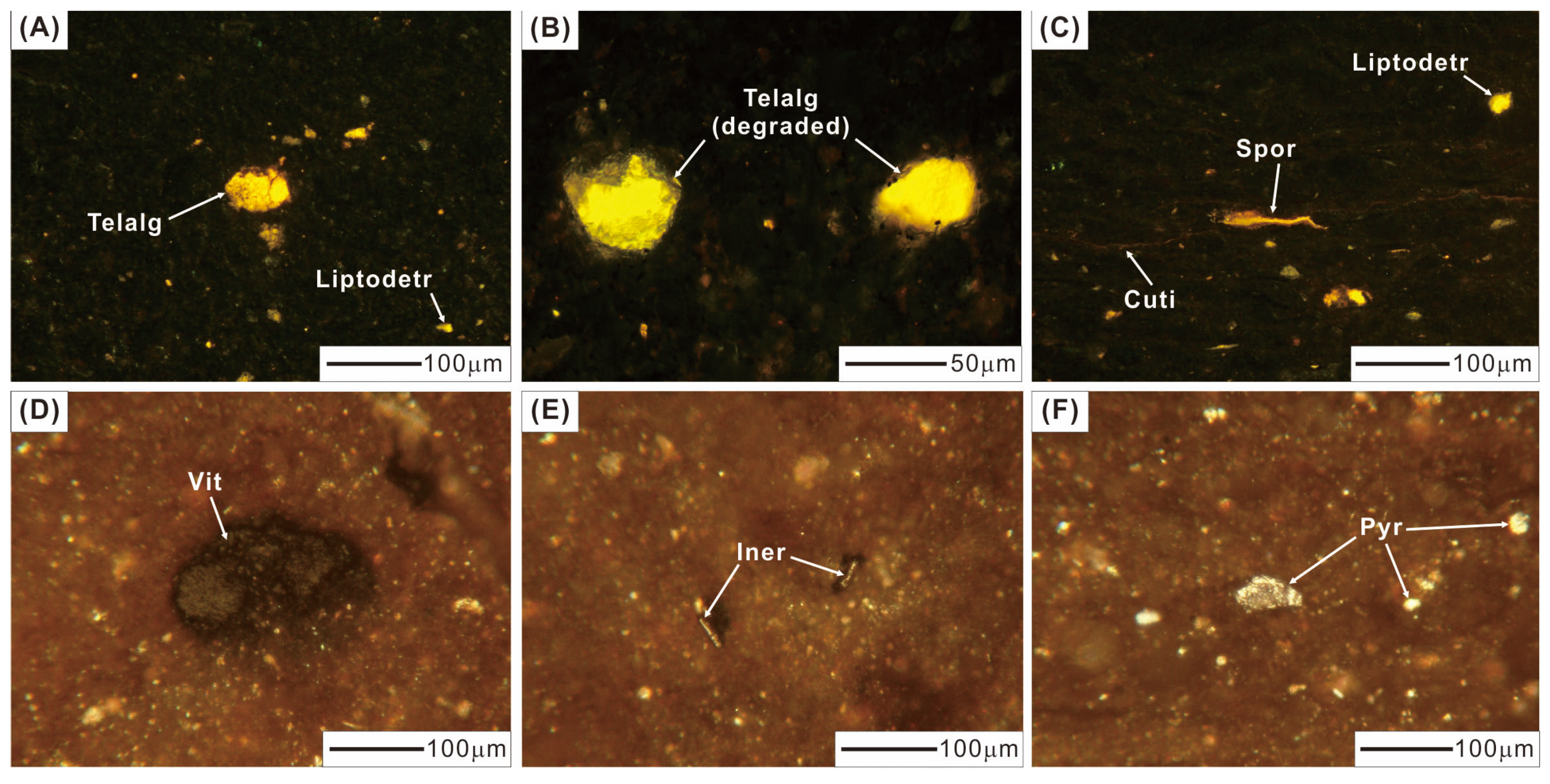 Energies 17 03003 g005