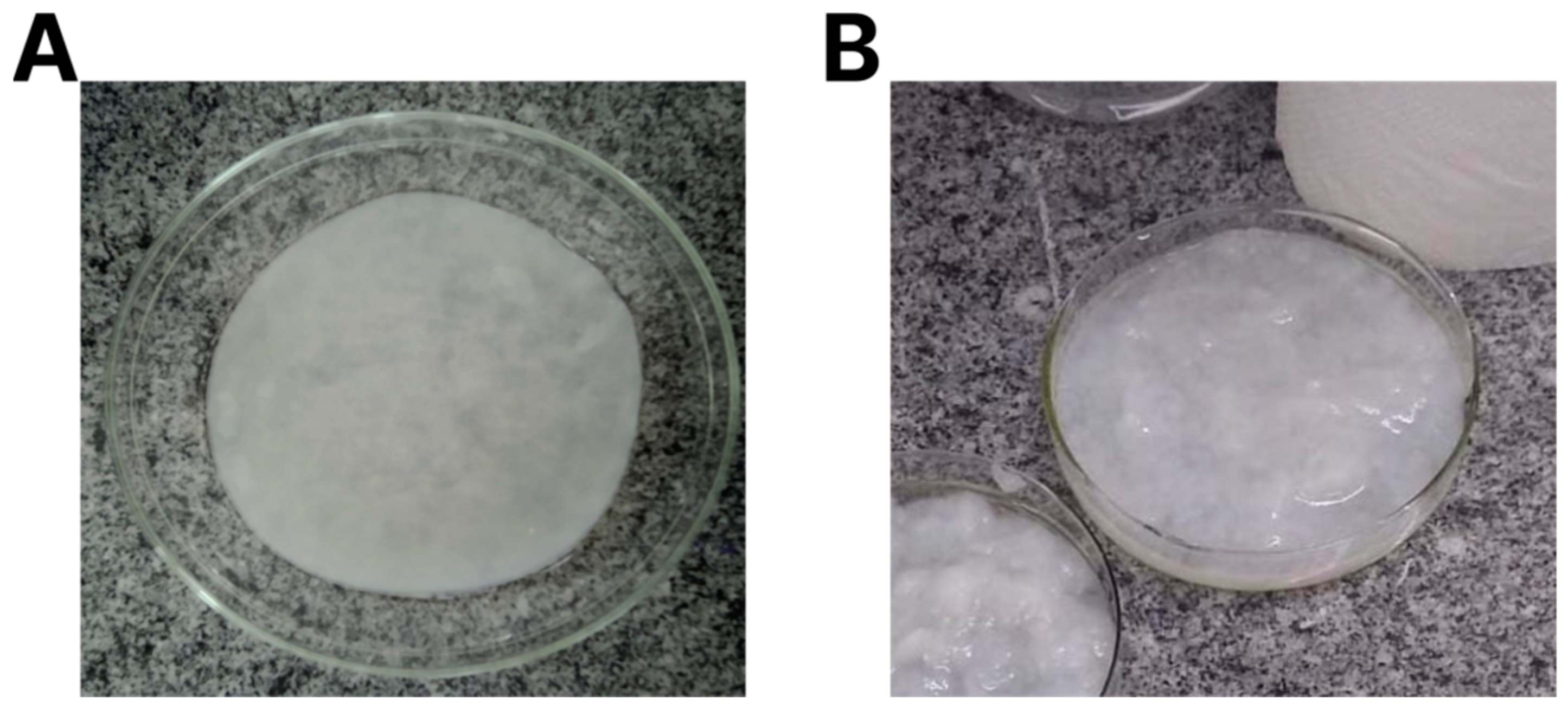 Energies 17 03202 g001