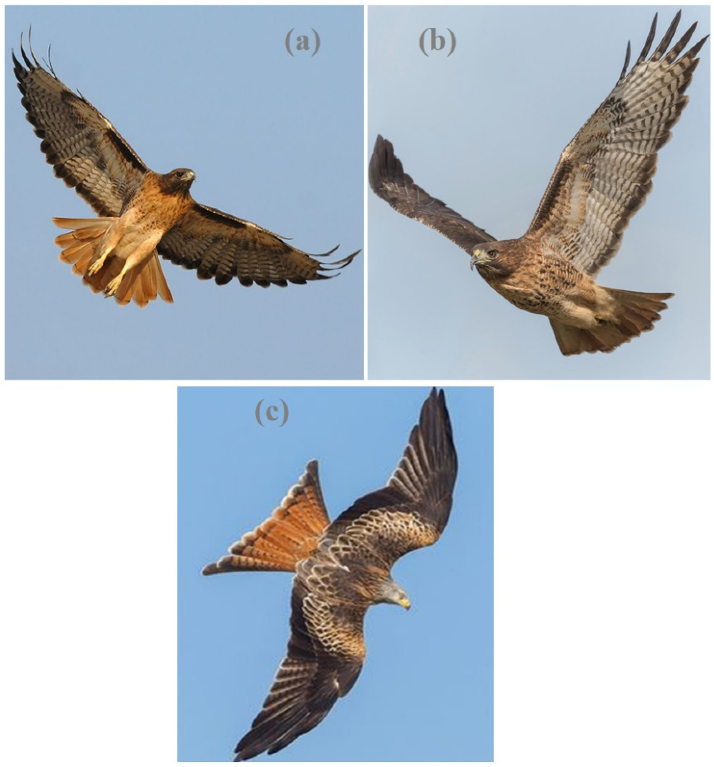 Energies 17 03391 g003