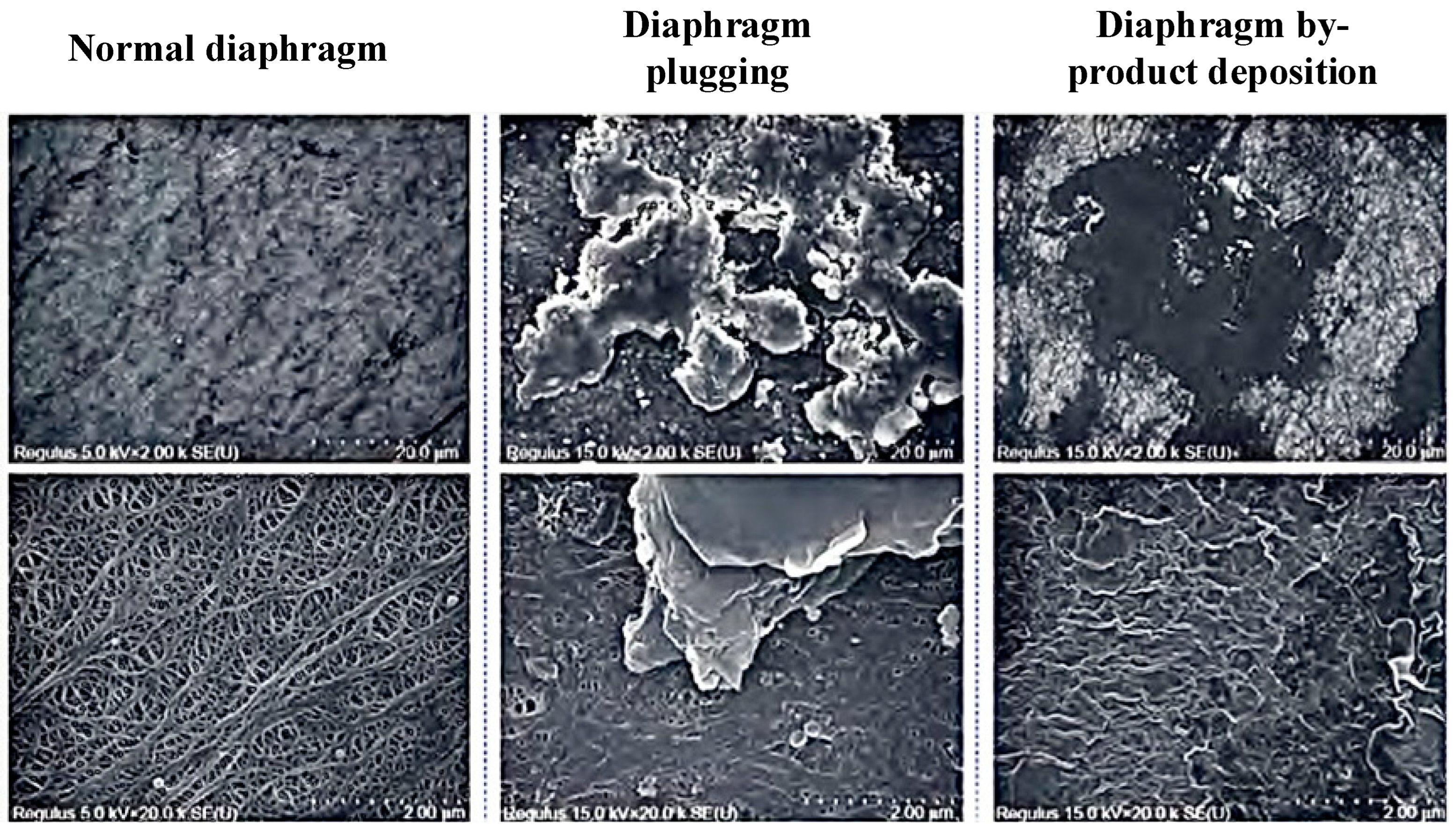 Energies 17 03668 g003