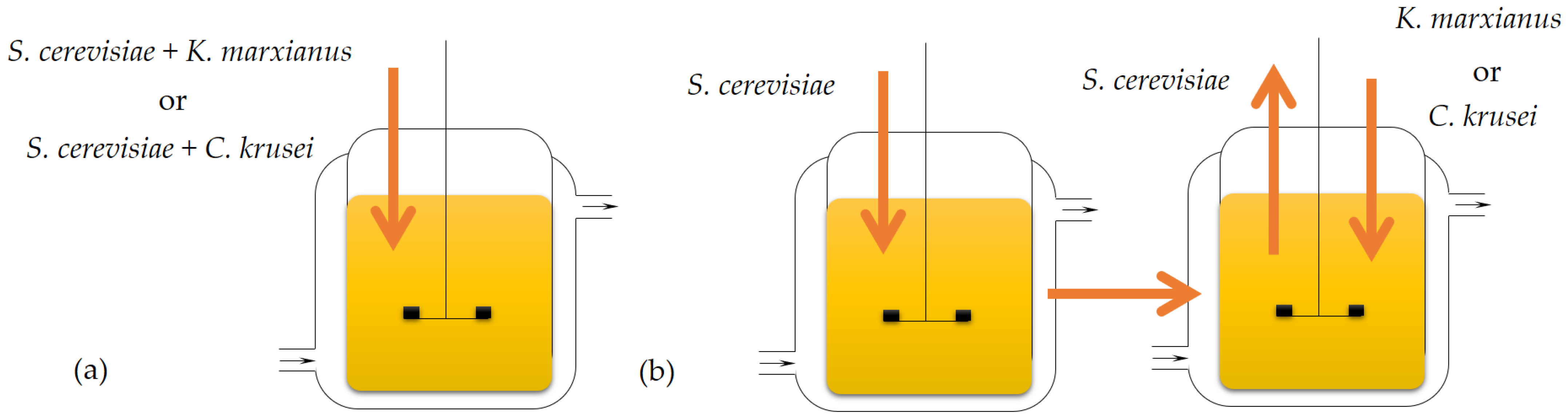 Energies 17 03975 g001