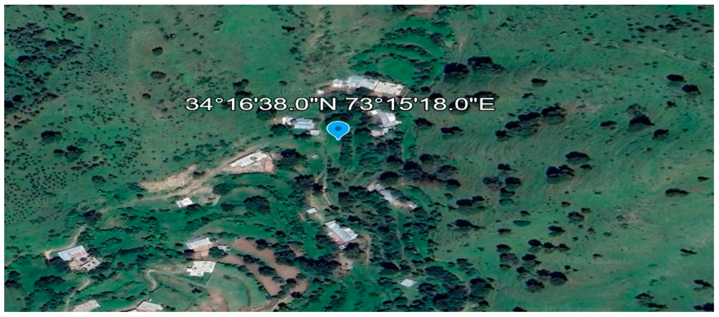 Energies 17 04083 g003