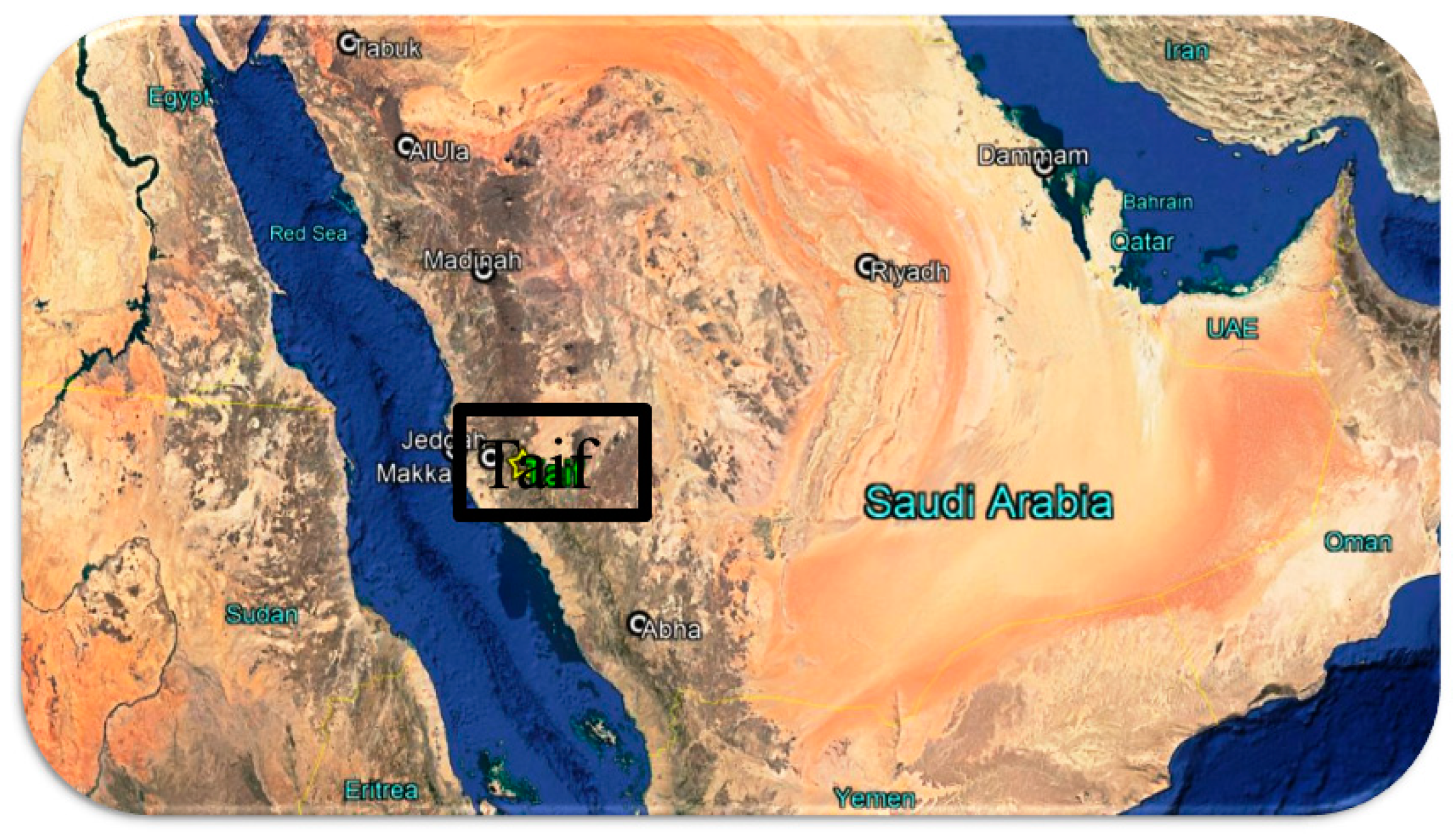 Energies 17 04088 g002