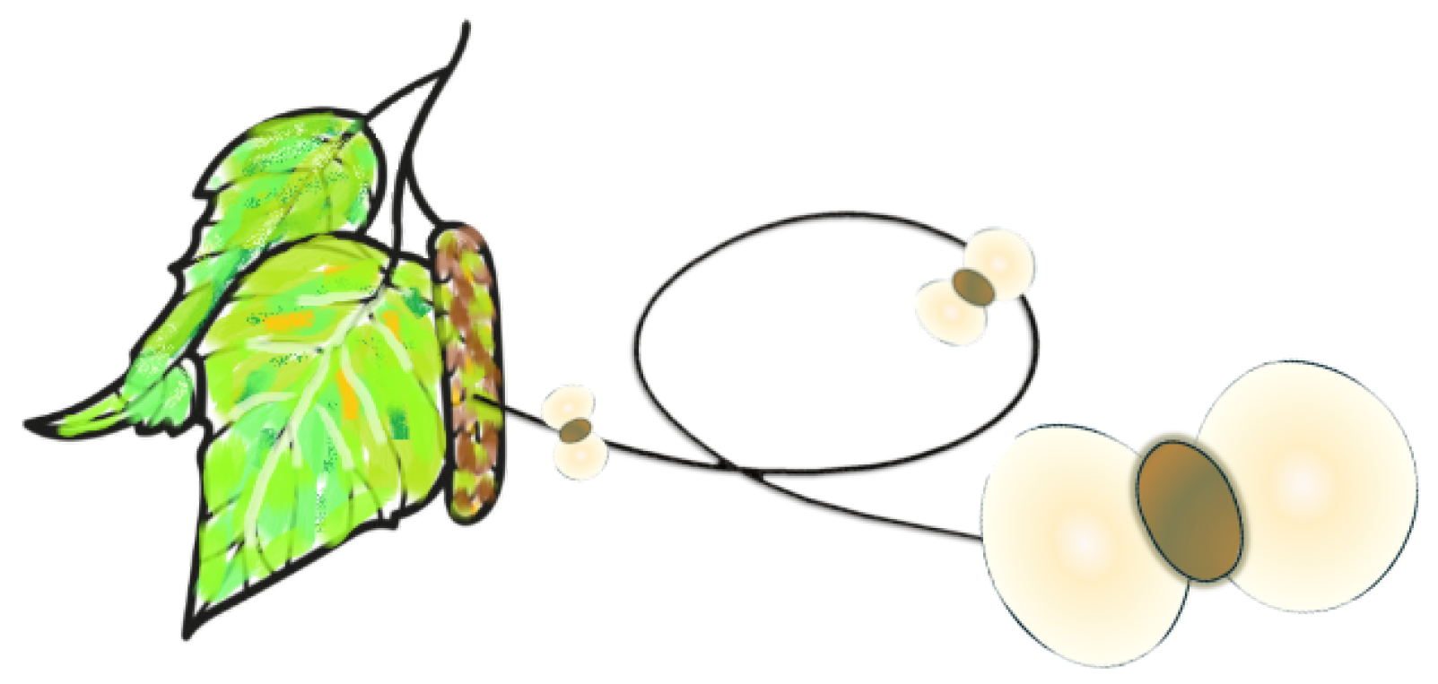 Energies 17 04104 g004