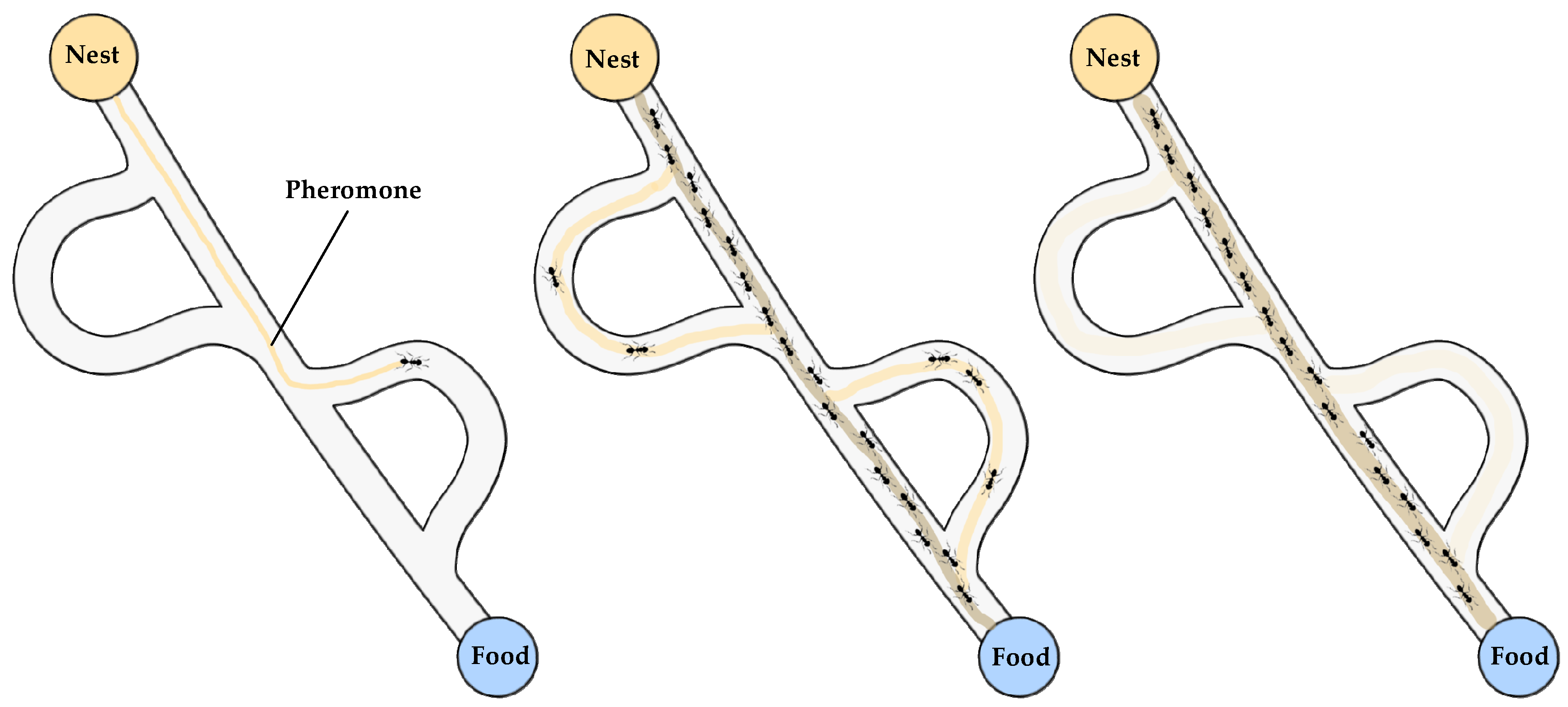 Energies 17 04106 g013