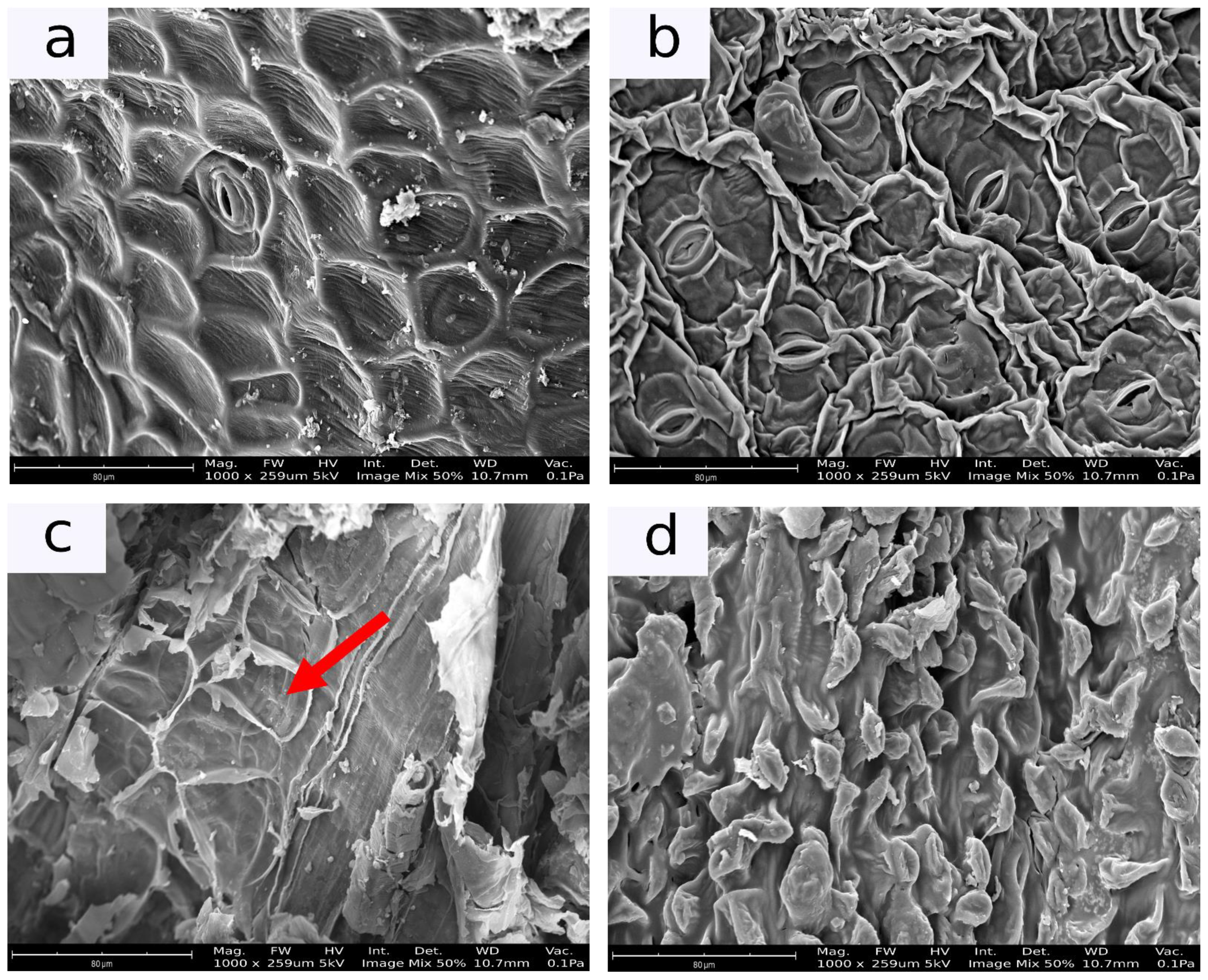 Energies 17 04119 g004