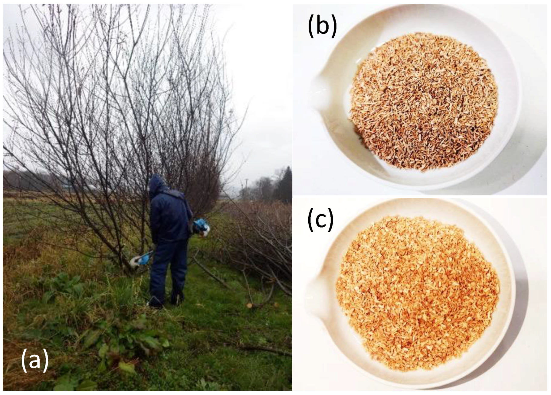 Energies 17 04122 g001 Energies 17 04122 g001