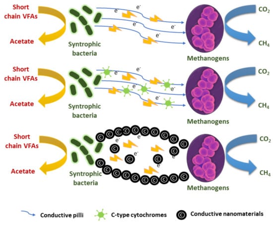 Energies 17 04198 g012