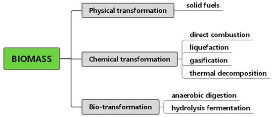 Development Status and Prospects of Biomass Energy in China