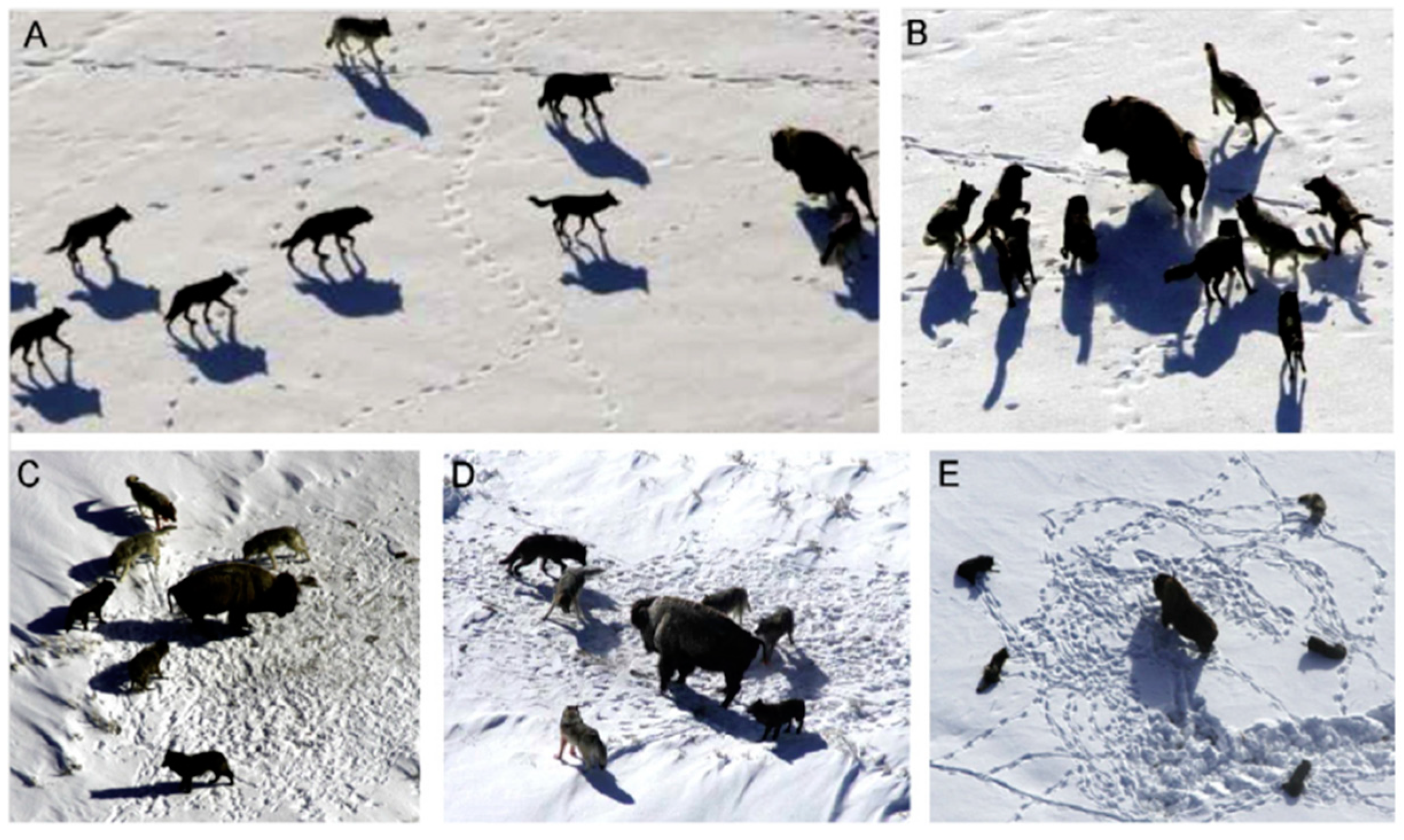 Energies 17 04539 g002