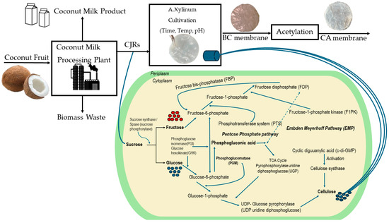 Energies 17 04750 g001