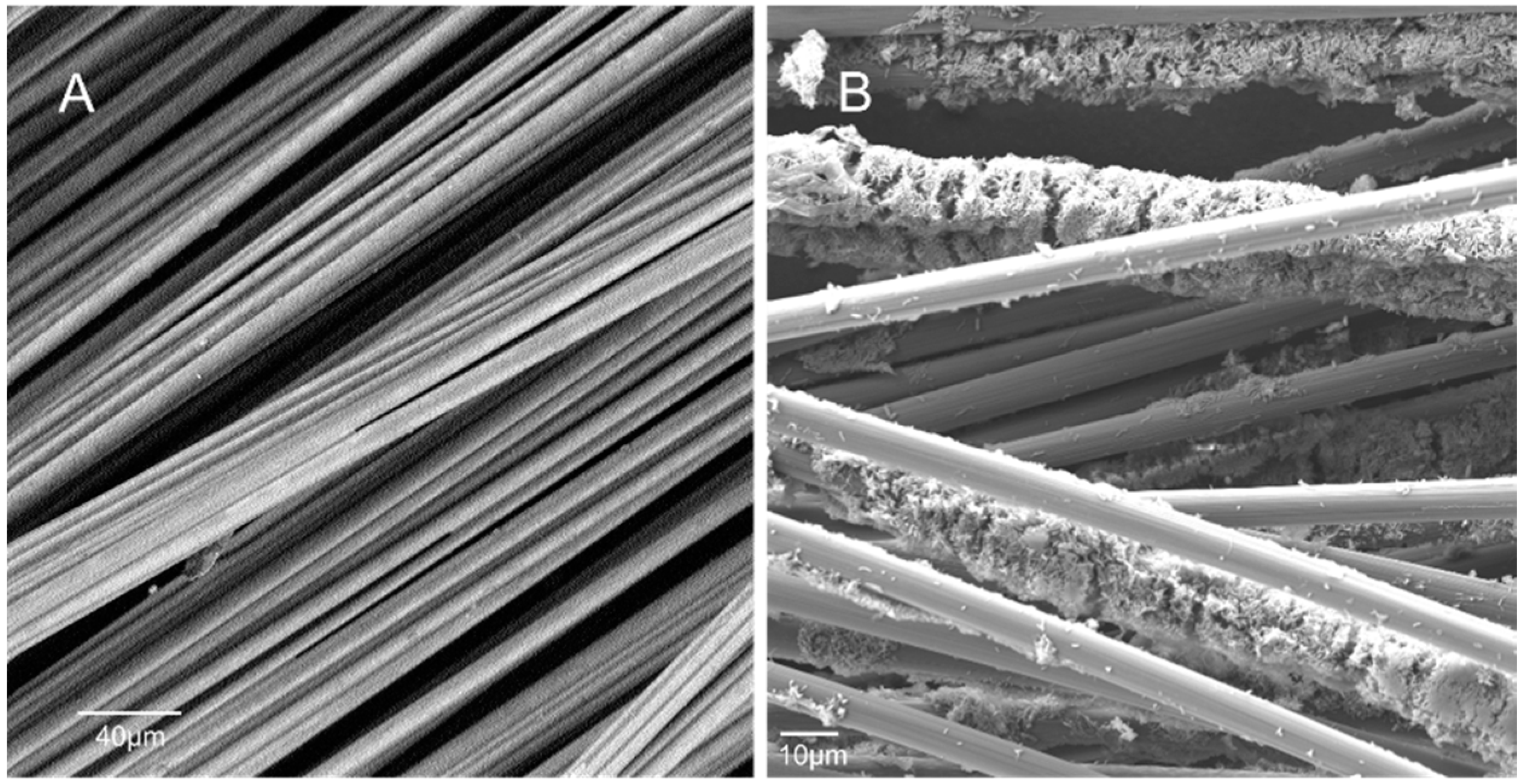 Energies 17 04896 g006