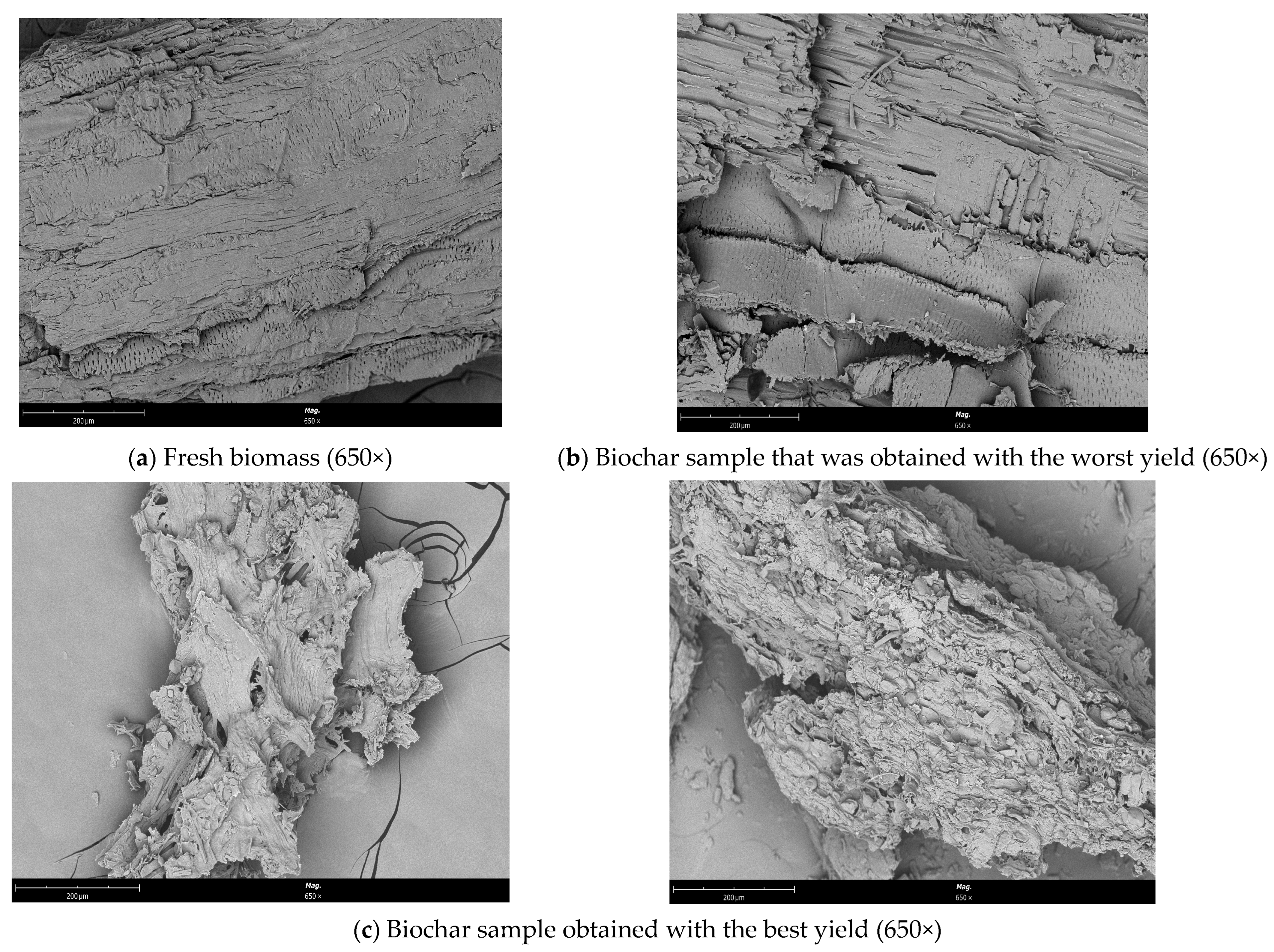 Energies 17 04899 g008