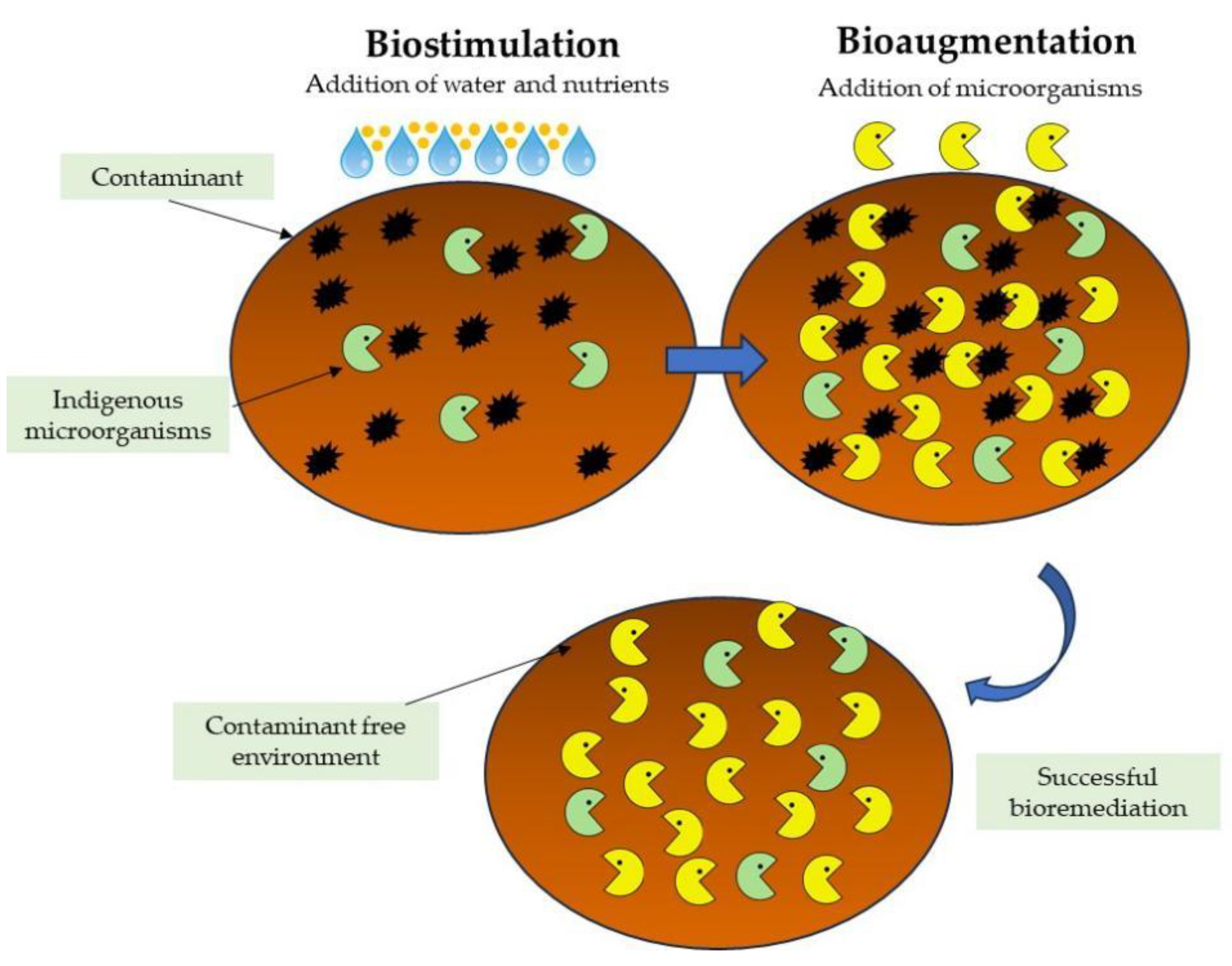 Energies 17 05042 g005