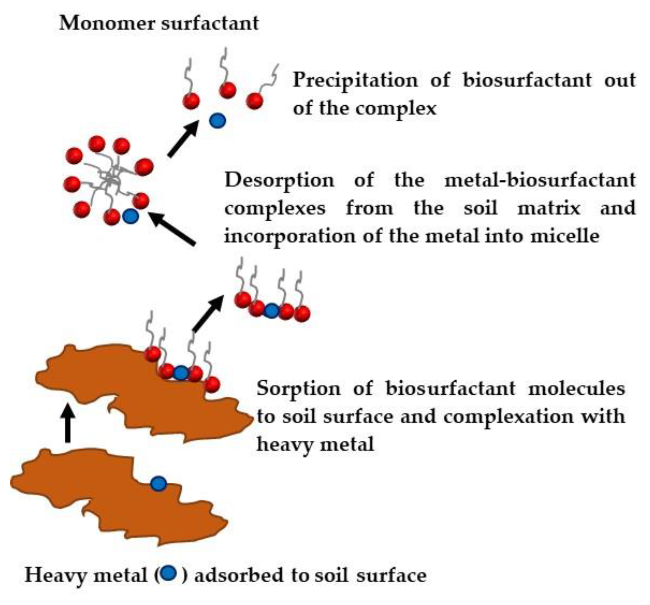 Energies 17 05042 g006