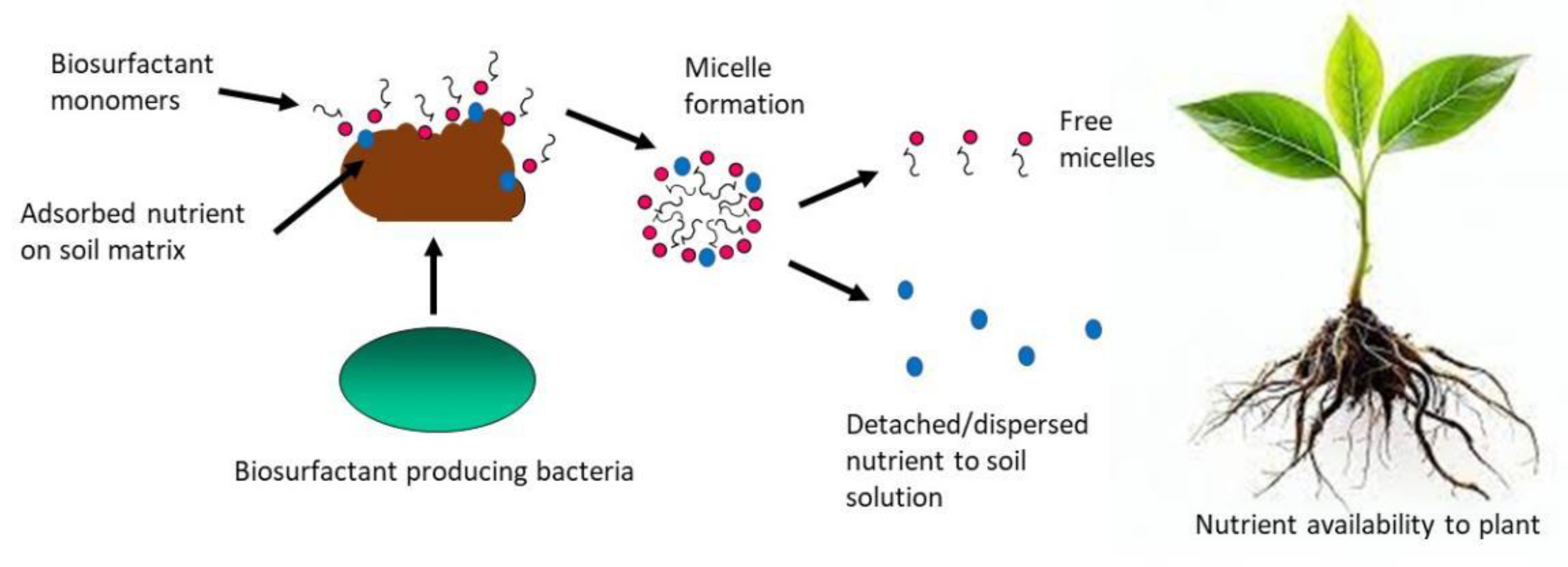 Energies 17 05042 g007