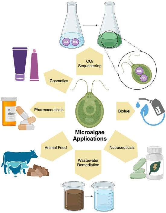 Energies 17 05218 g001