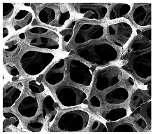 Energies 17 05250 i002