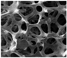 Energies 17 05250 i003