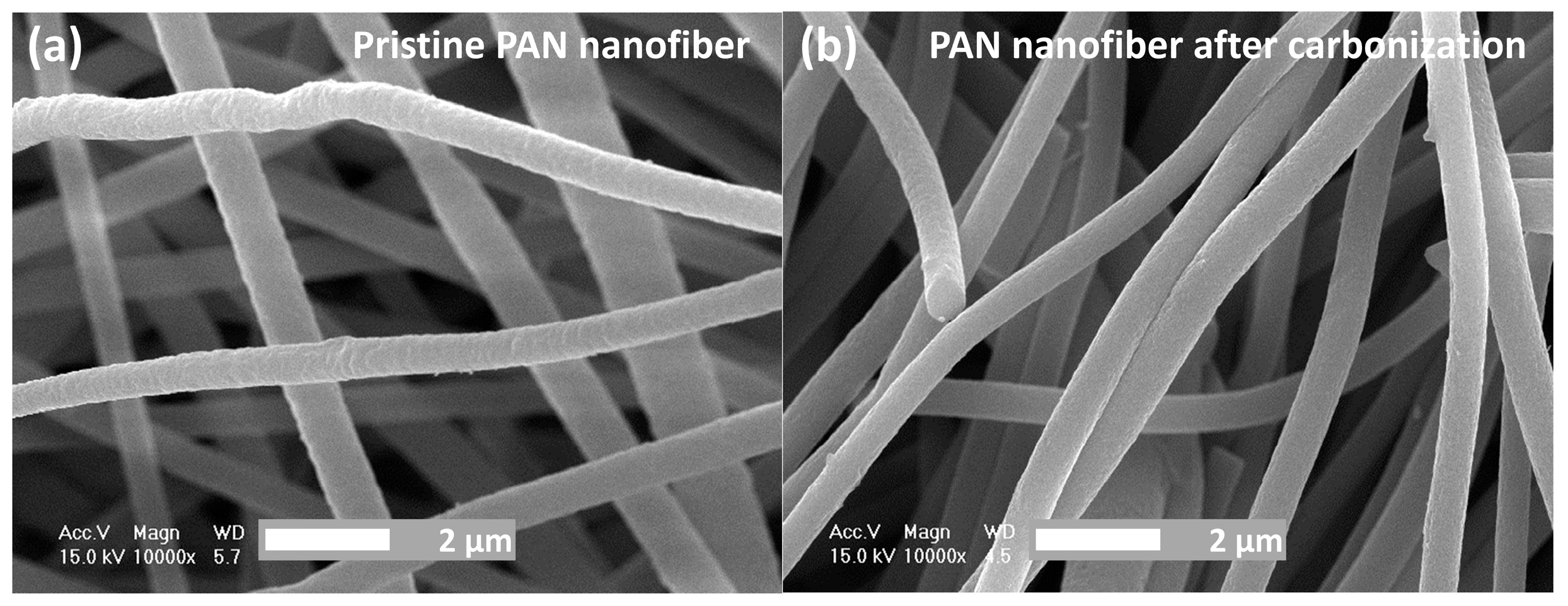 Energies 17 05258 g001
