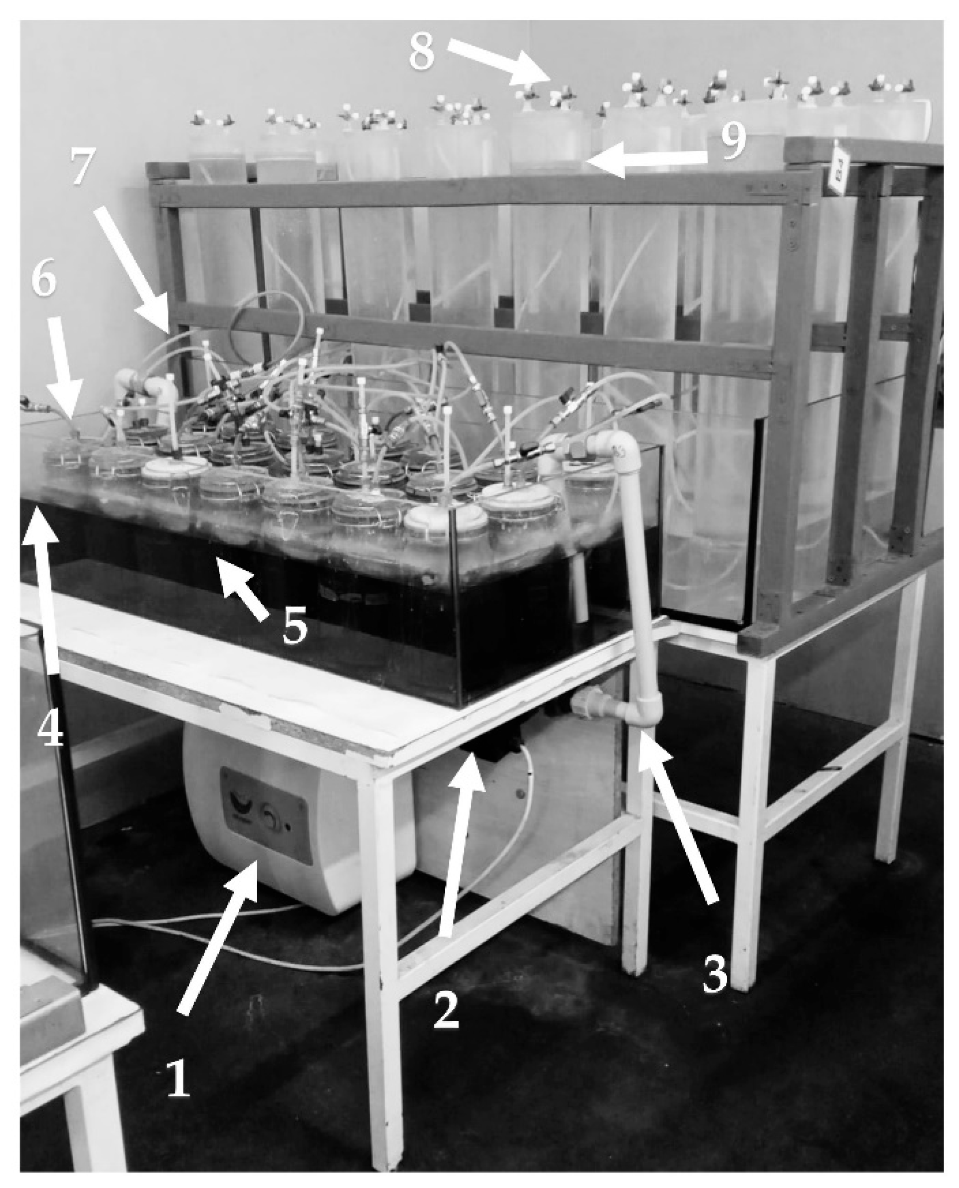 Energies 17 06476 g002