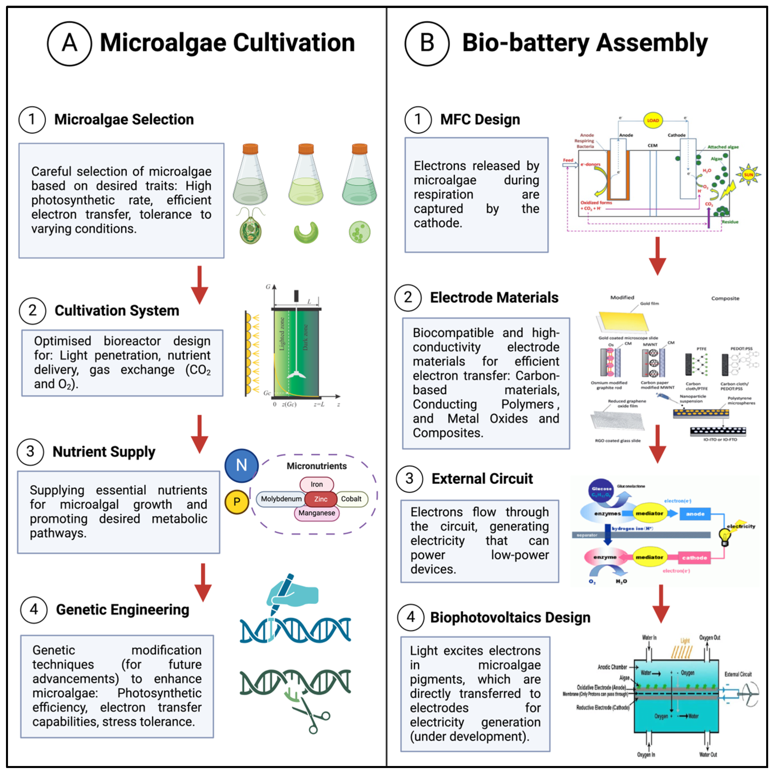 Energies 18 00536 g001