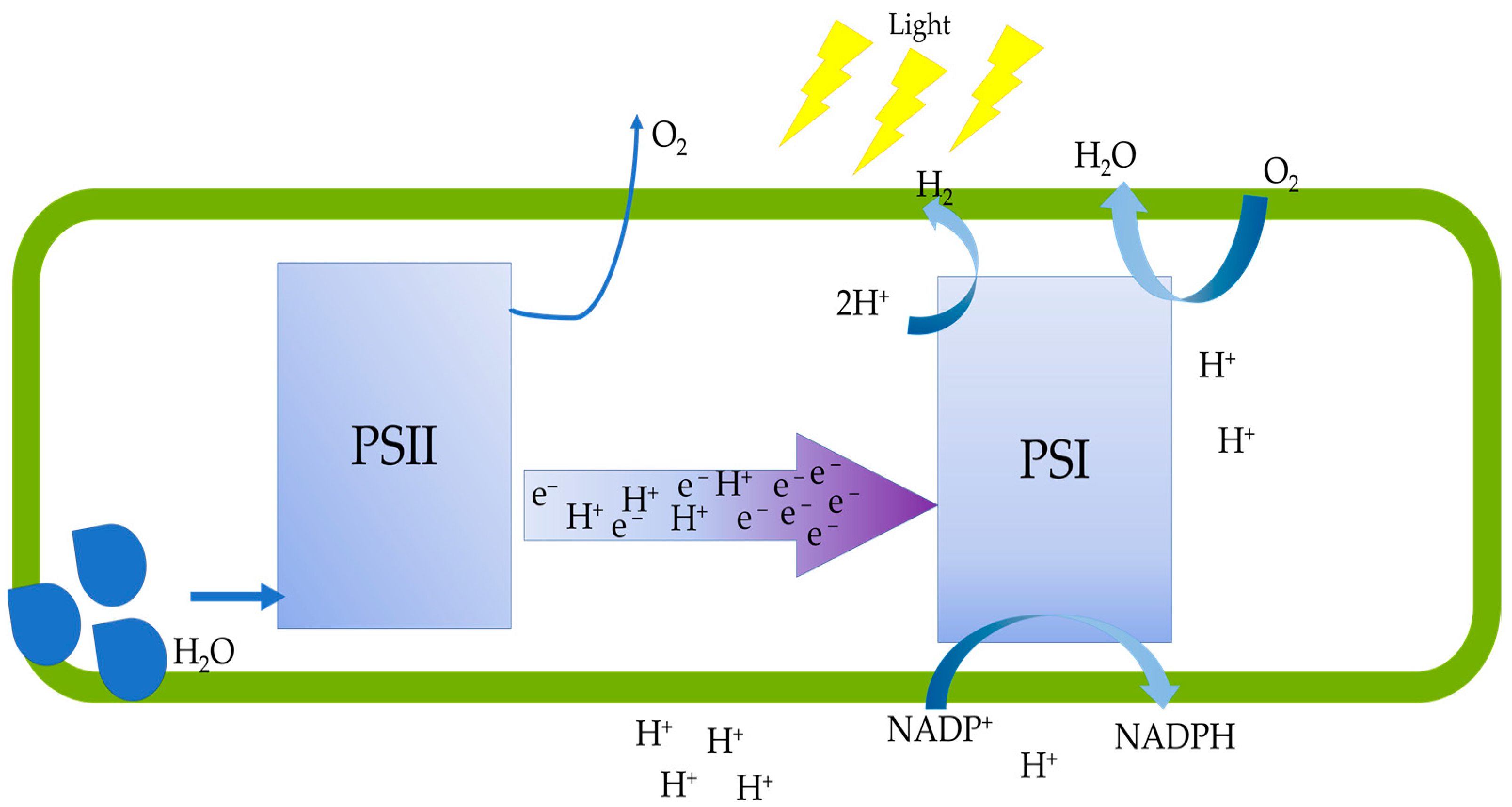 Energies 18 00709 g001