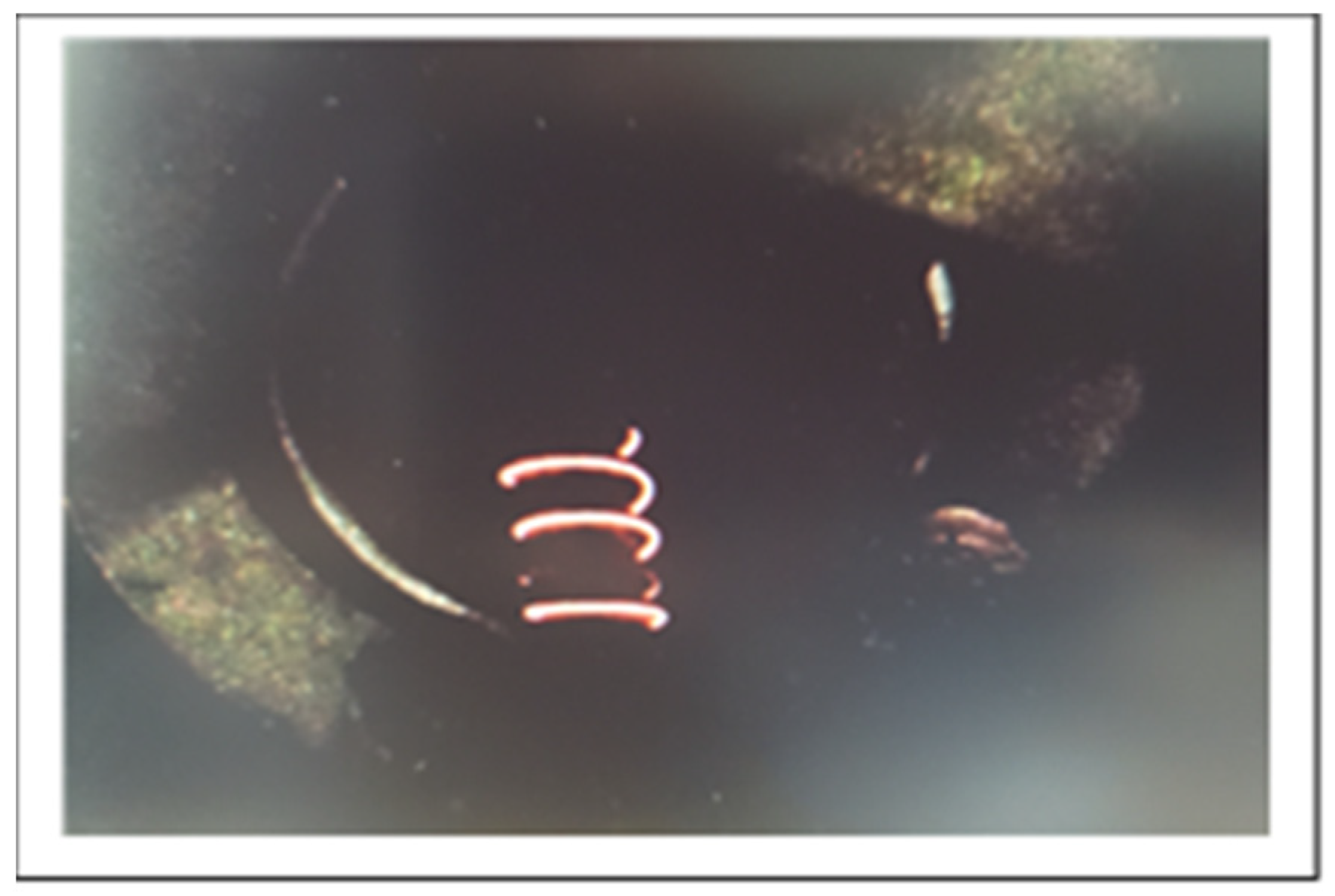 Energies 18 00856 g004