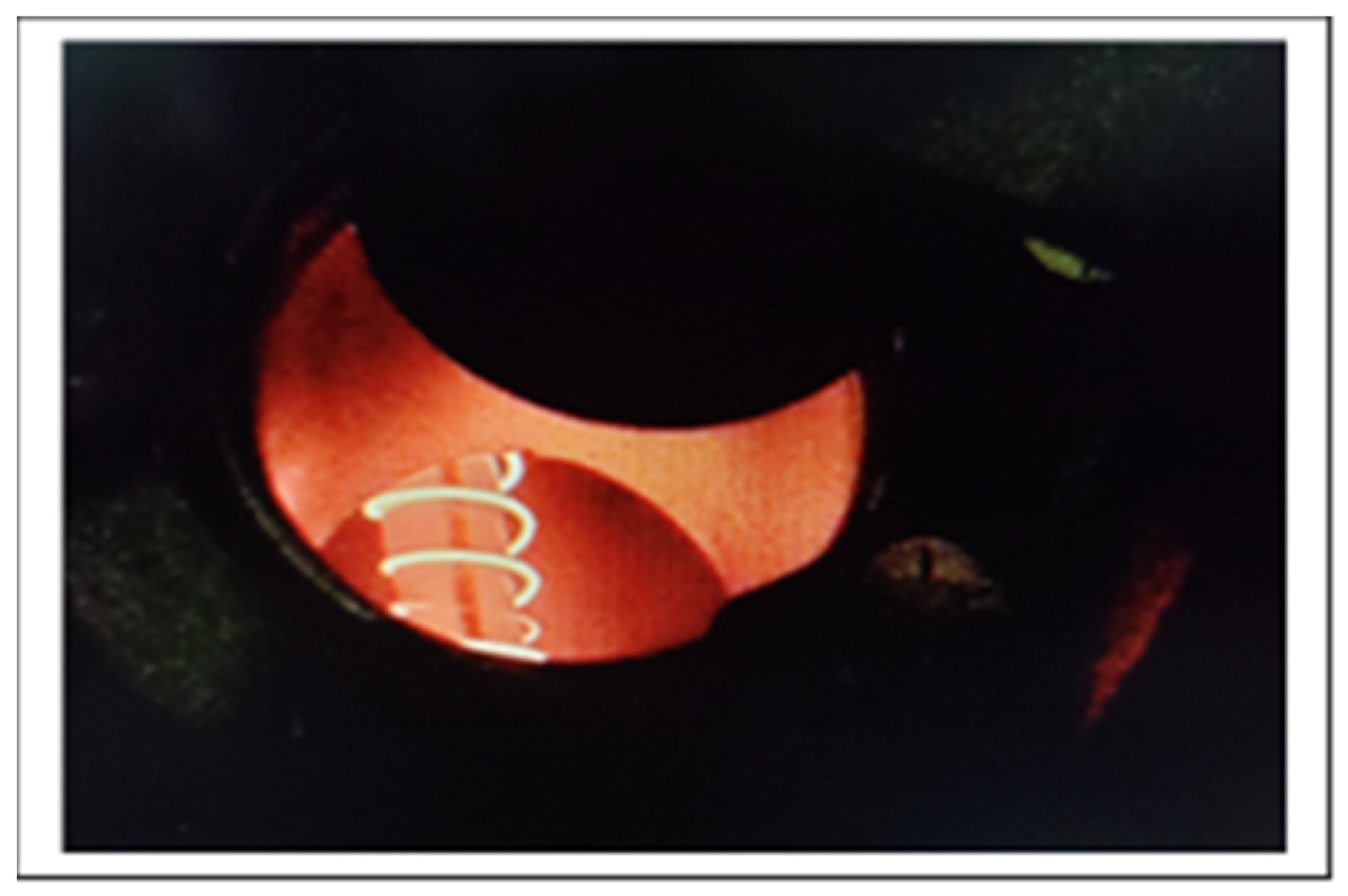 Energies 18 00856 g005