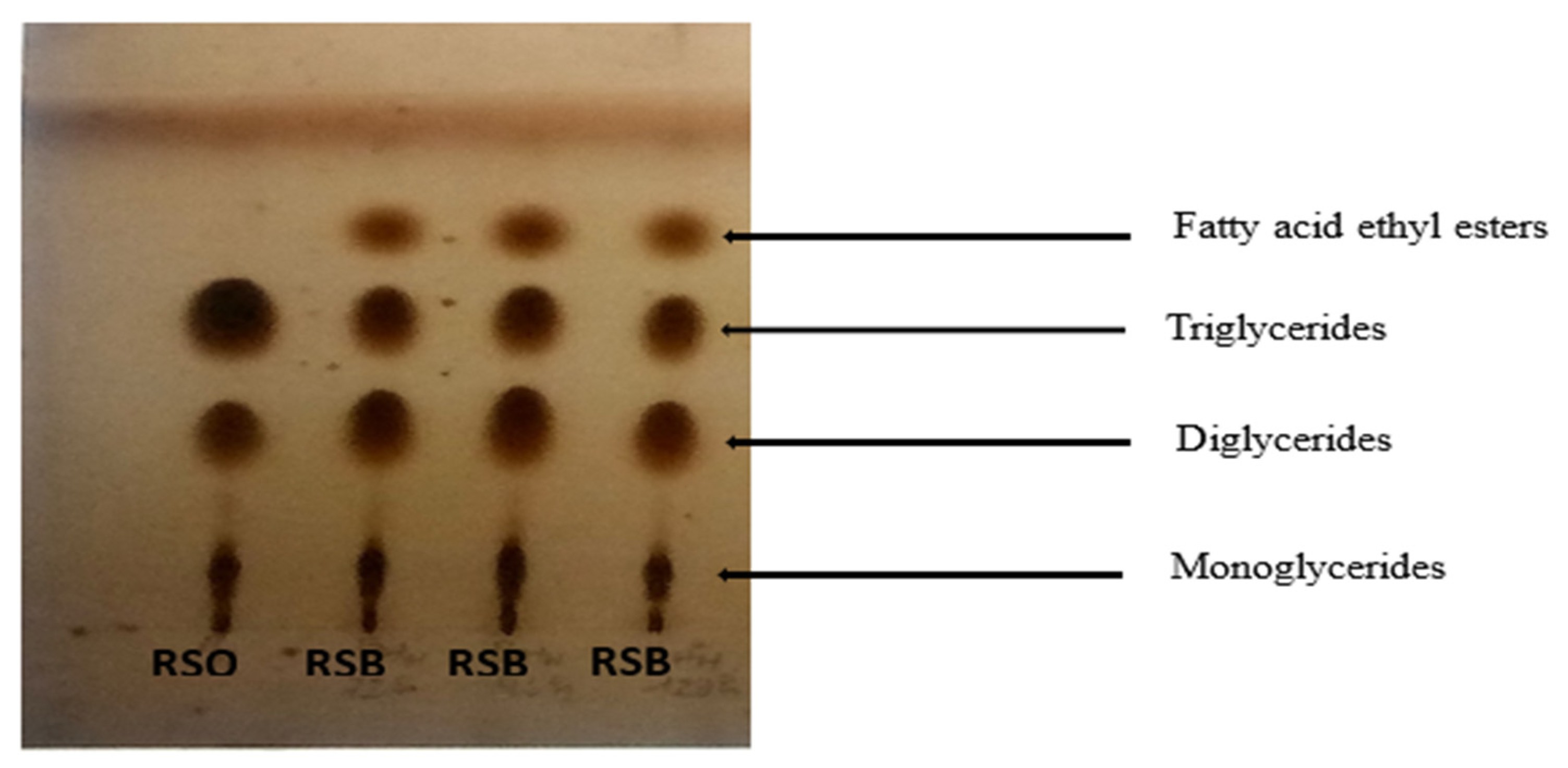 Energies 18 01252 g008