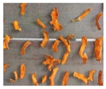 Energies 18 02230 i015