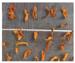 Energies 18 02230 i017