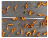 Energies 18 02230 i018