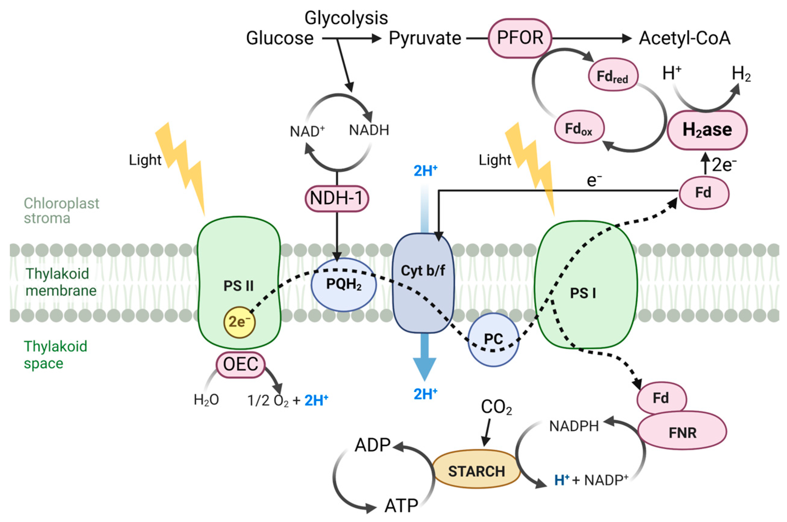 Energies 18 02319 g001