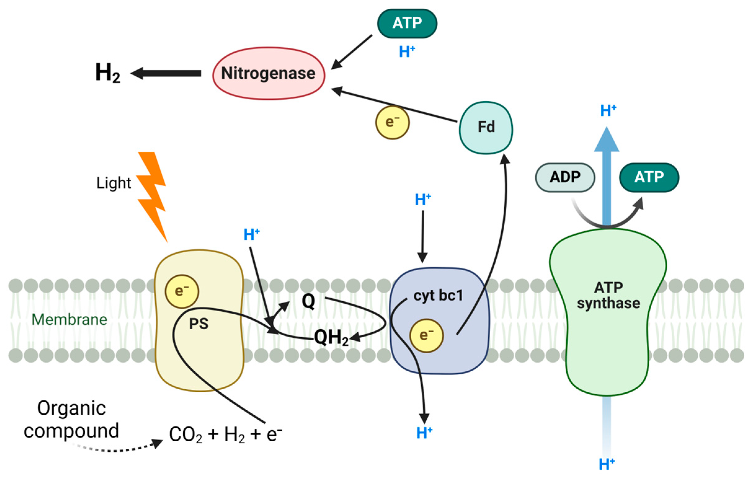 Energies 18 02319 g004