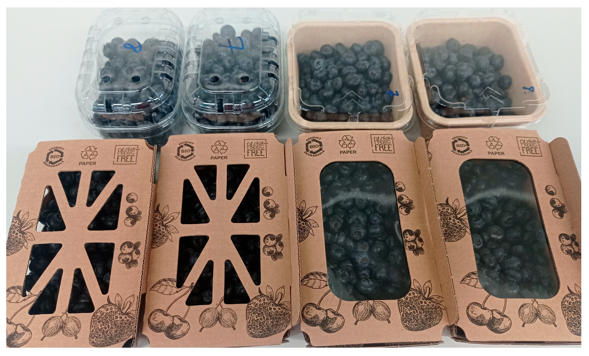 Energies 18 03232 g001