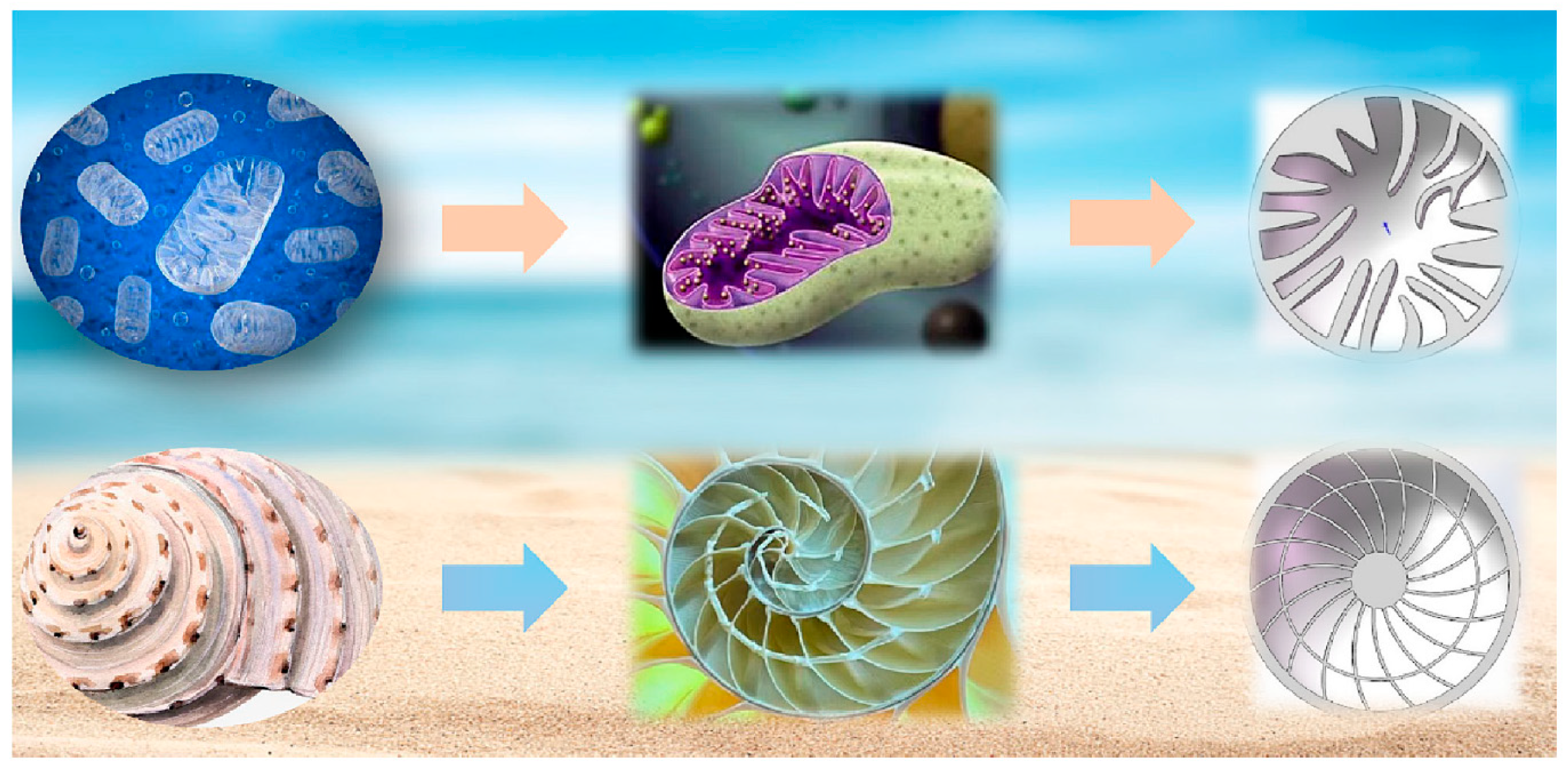 Energies 18 03548 g011 Energies 18 03548 g011