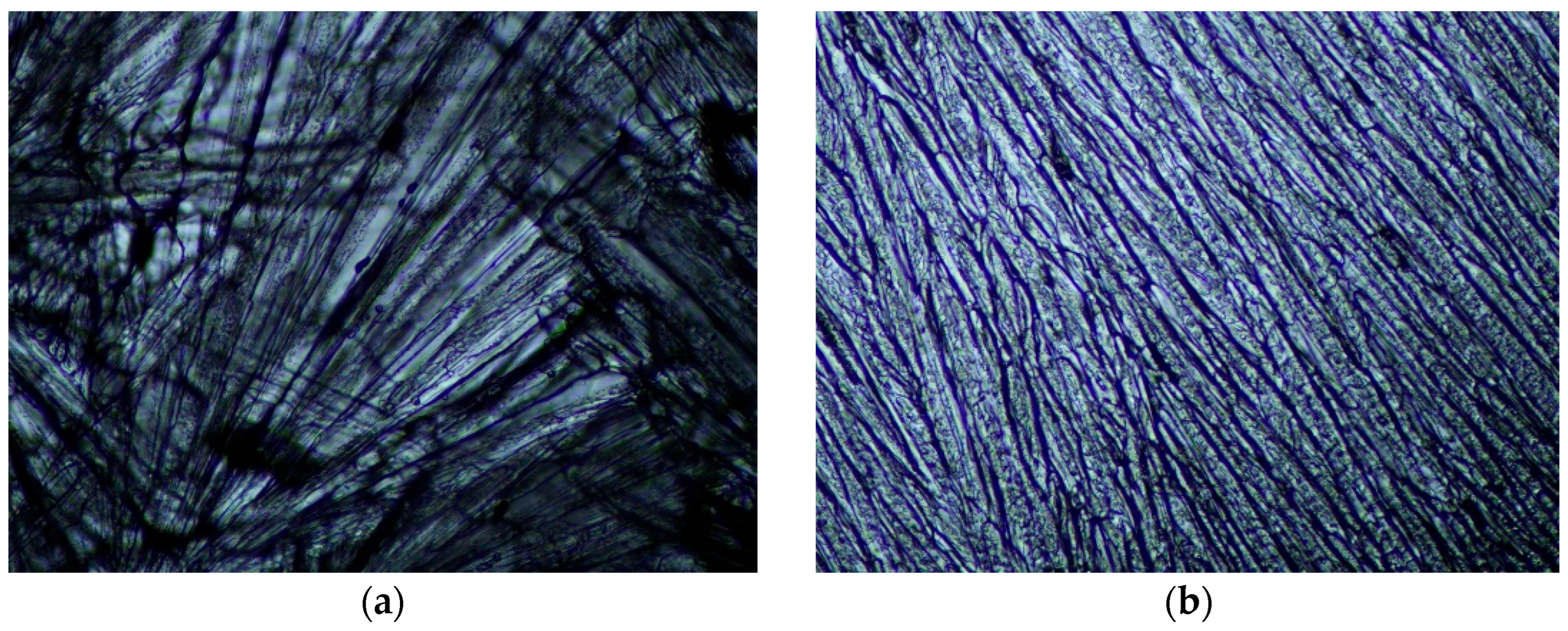 Energies 18 03760 g013