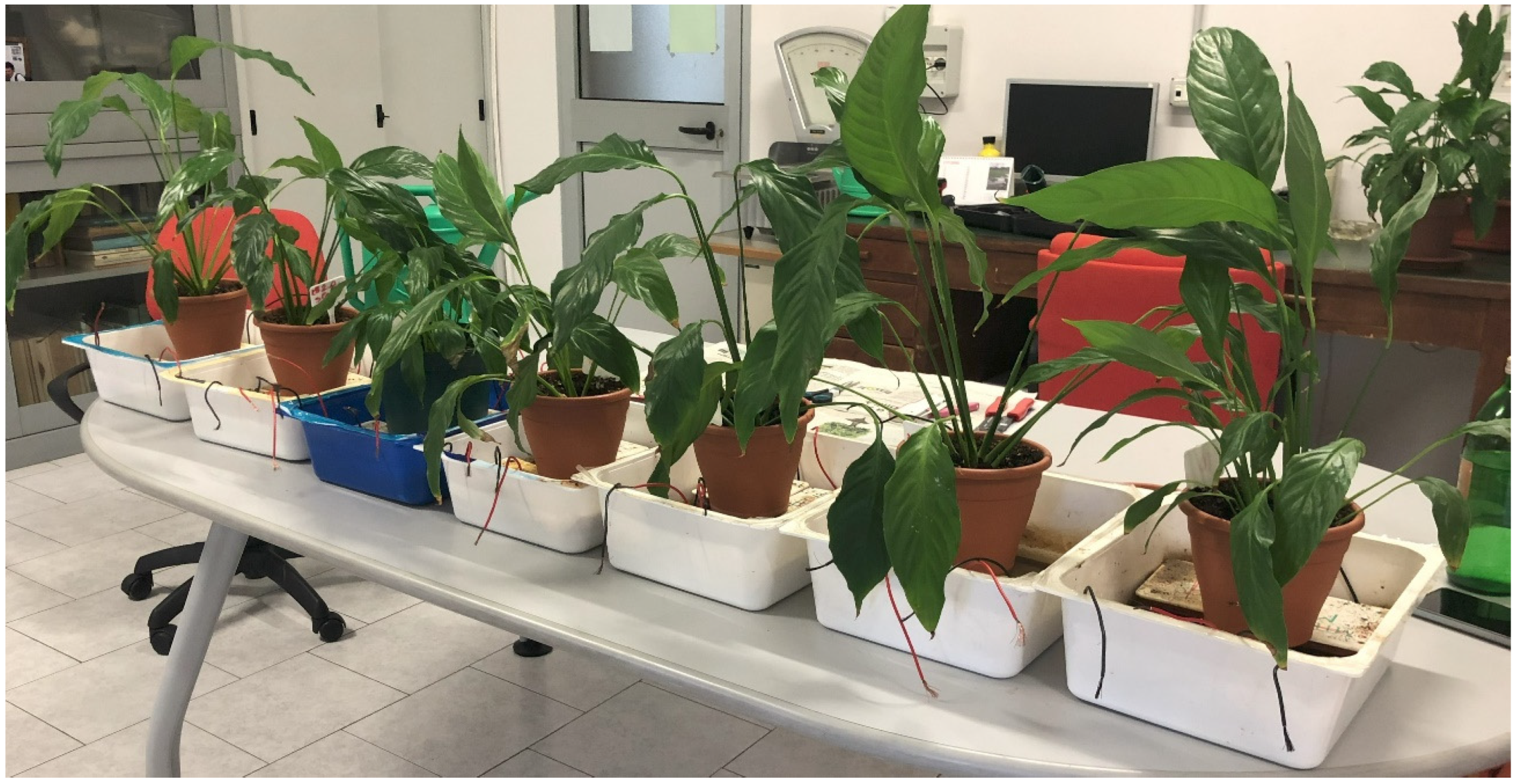 Energies 18 05320 g001 Energies 18 05320 g001