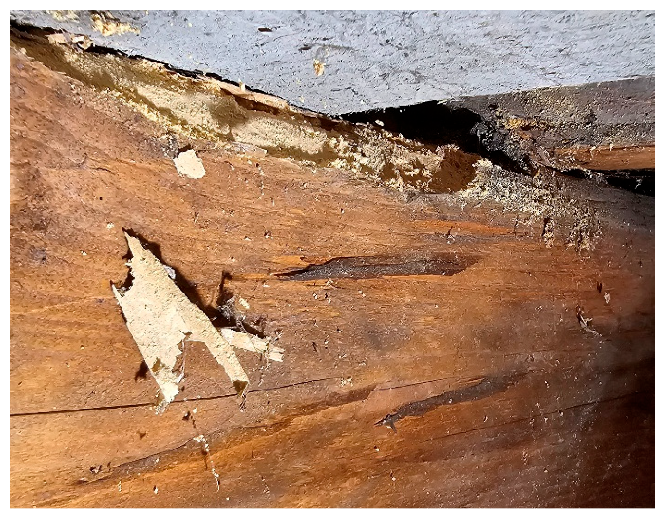 Energies 18 05621 g017