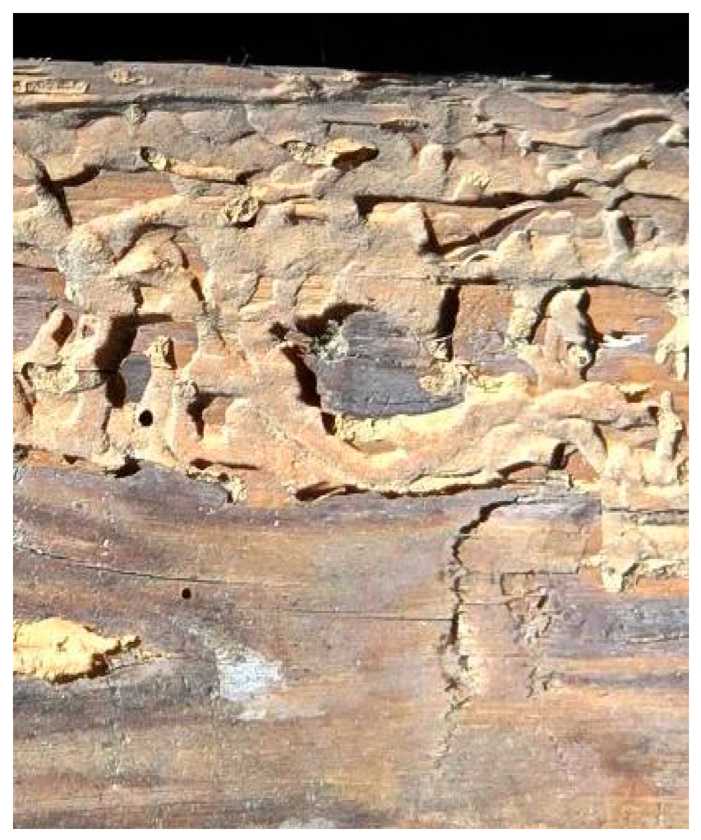 Energies 18 05621 g018