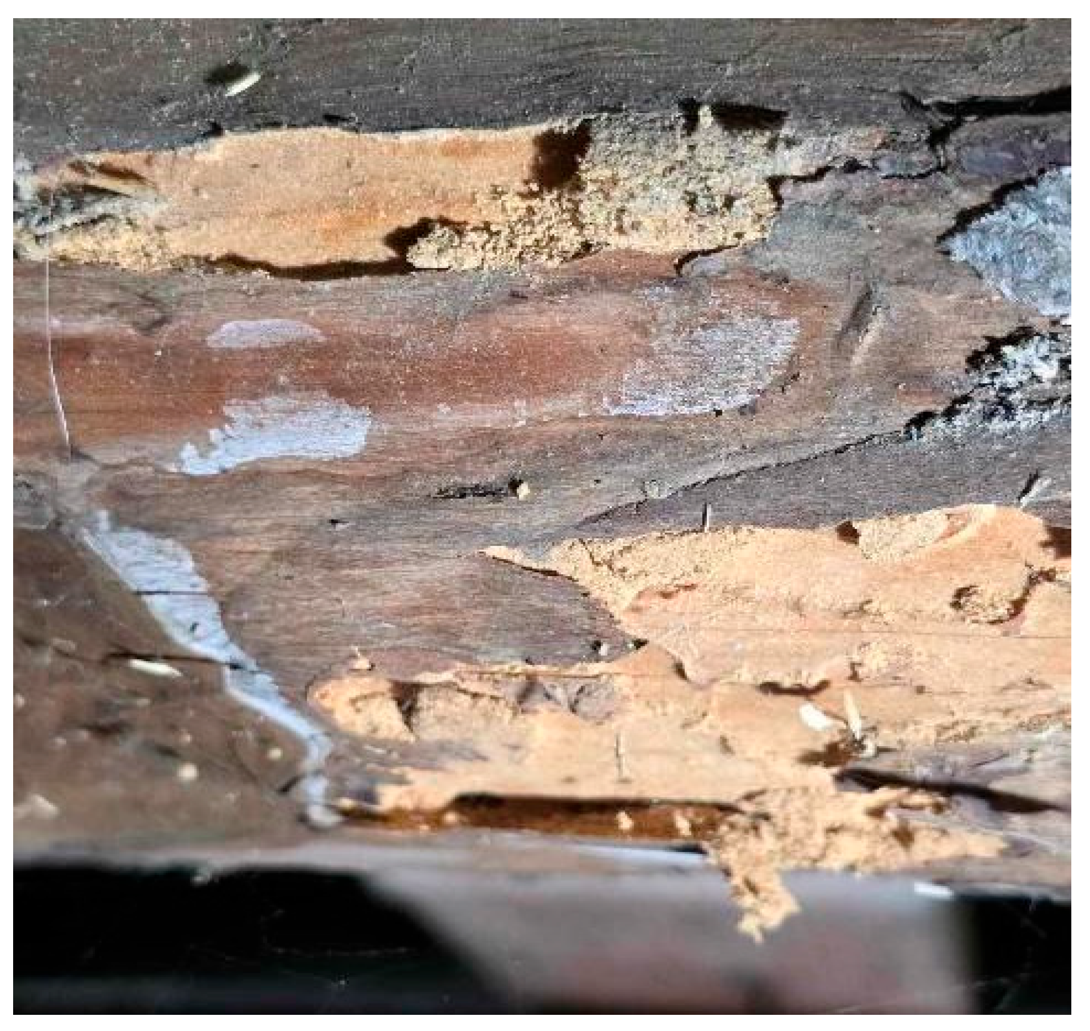 Energies 18 05621 g019