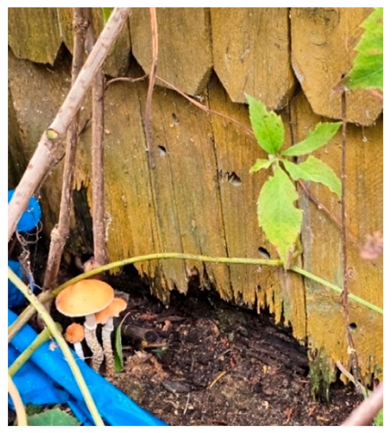 Energies 18 05621 g023